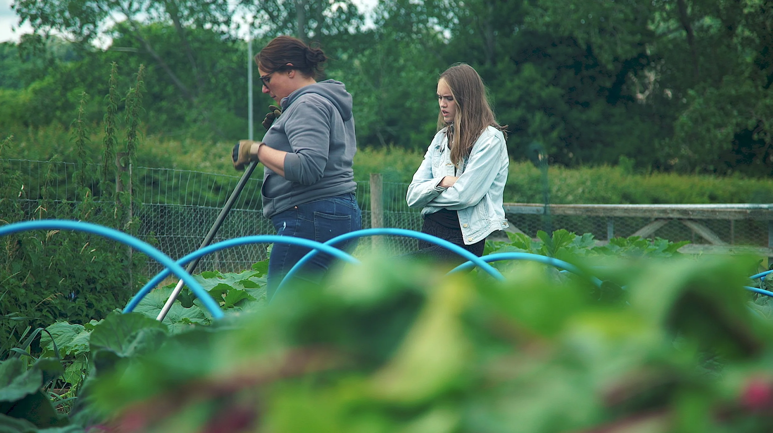 Two women in a garden with green plants, one is watering plants and the other is observing, surrounded by blue garden hoses and a wire fence, trees in the background.