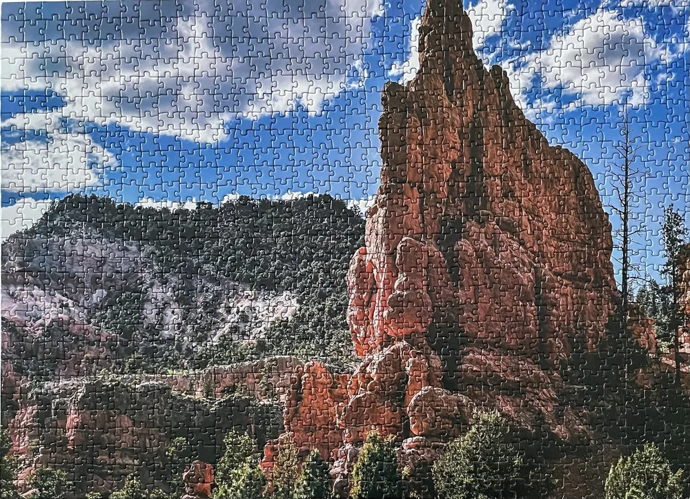 Dixie National Forest Puzzle — World Traveler's Puzzles