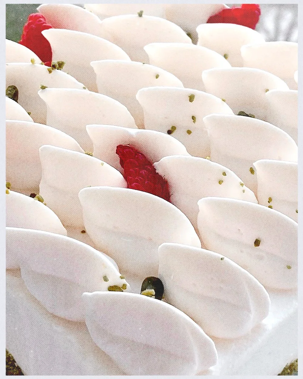 Close-up of white meringue cookies with red and black berries and small green garnishes.