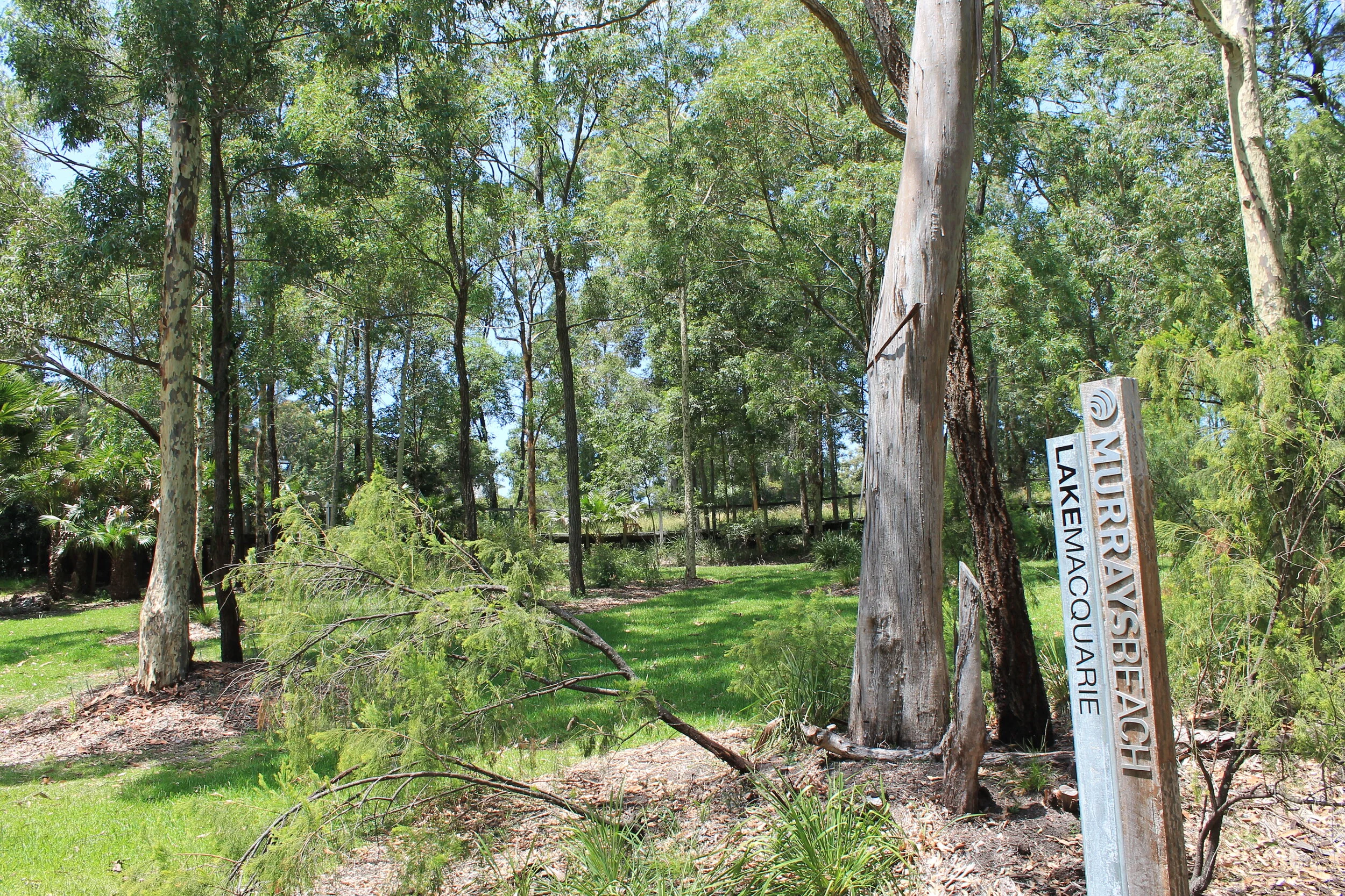 So much to offer — Murrays Beach
