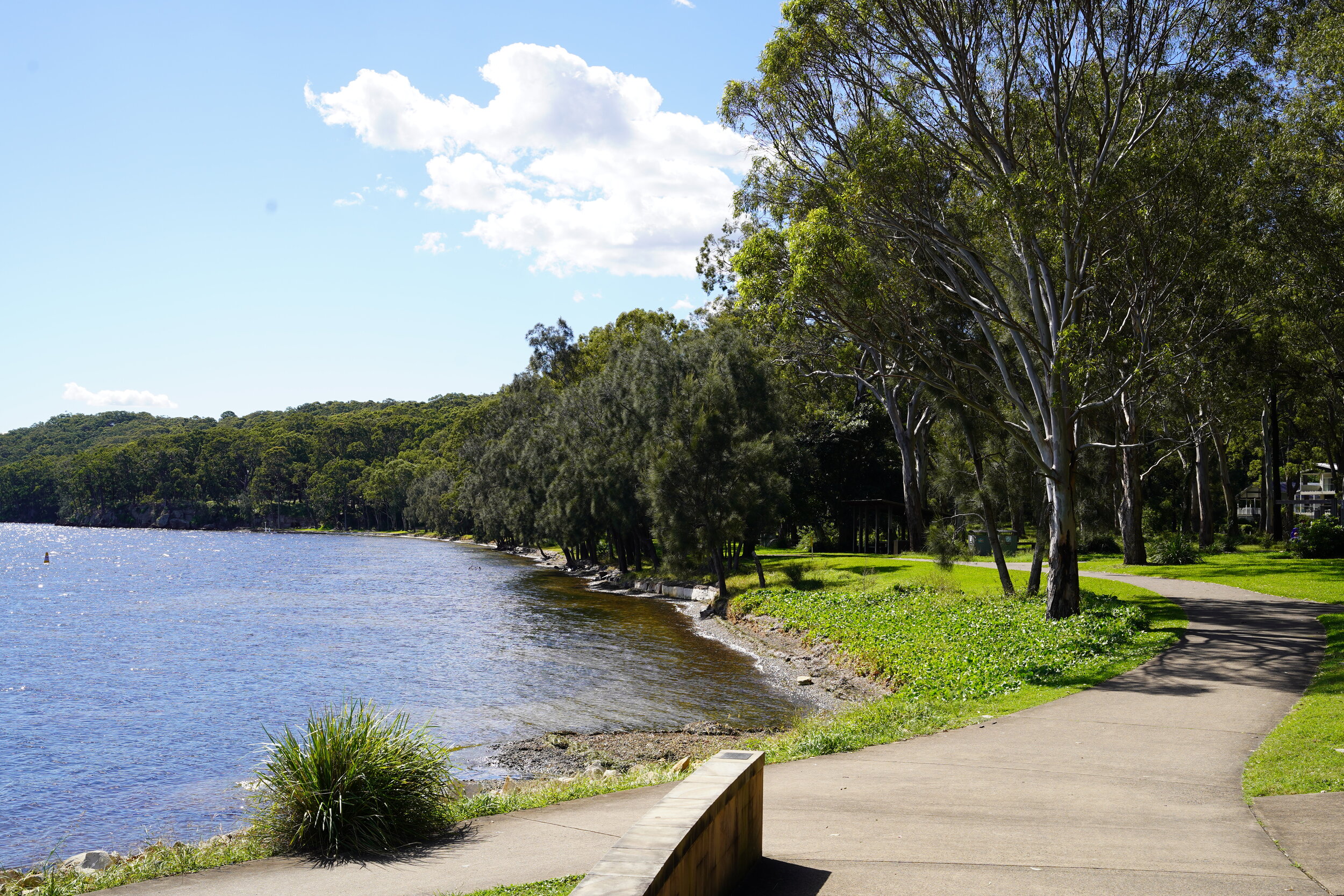 Latest Land Releases — Murrays Beach