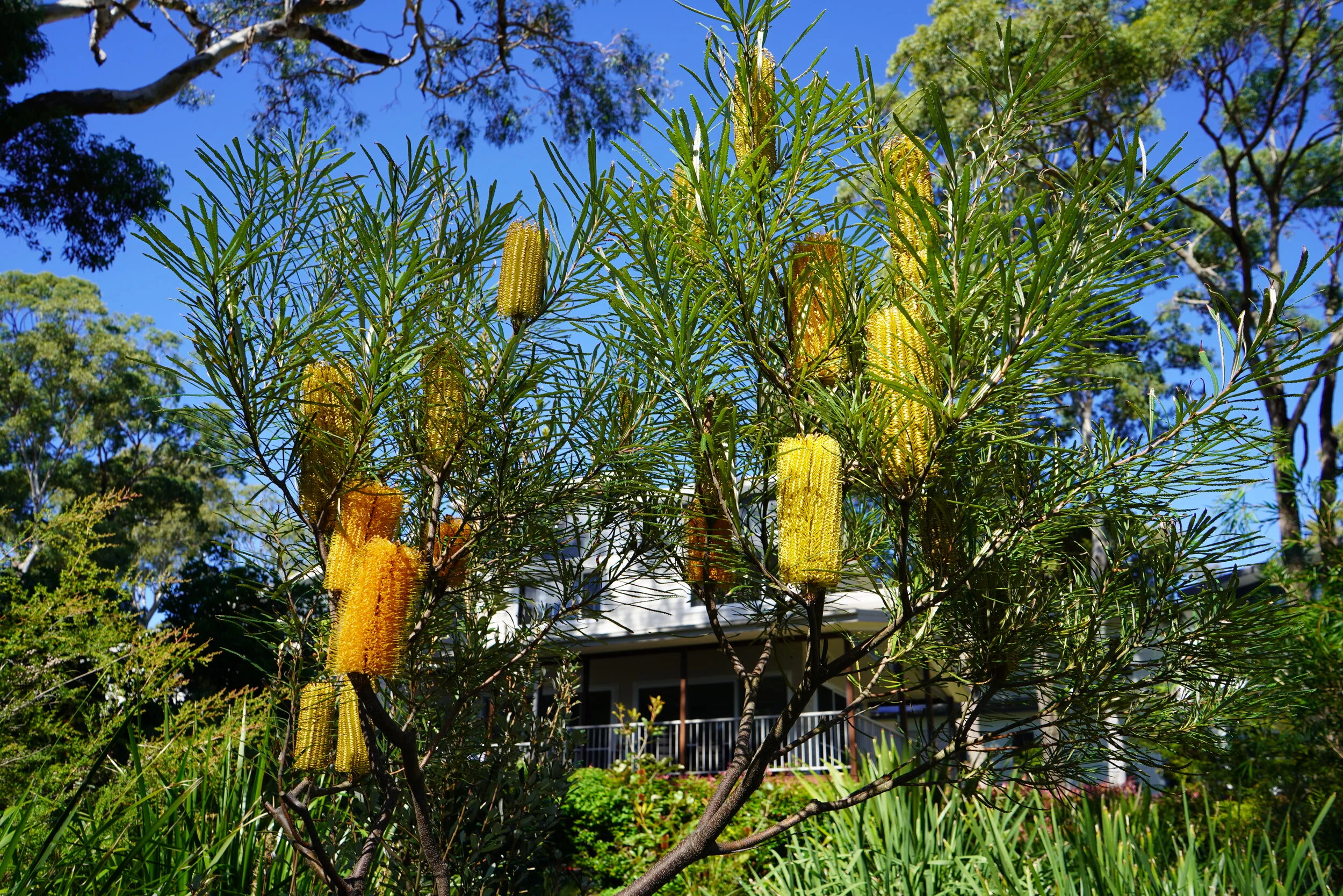 Latest Land Releases — Murrays Beach