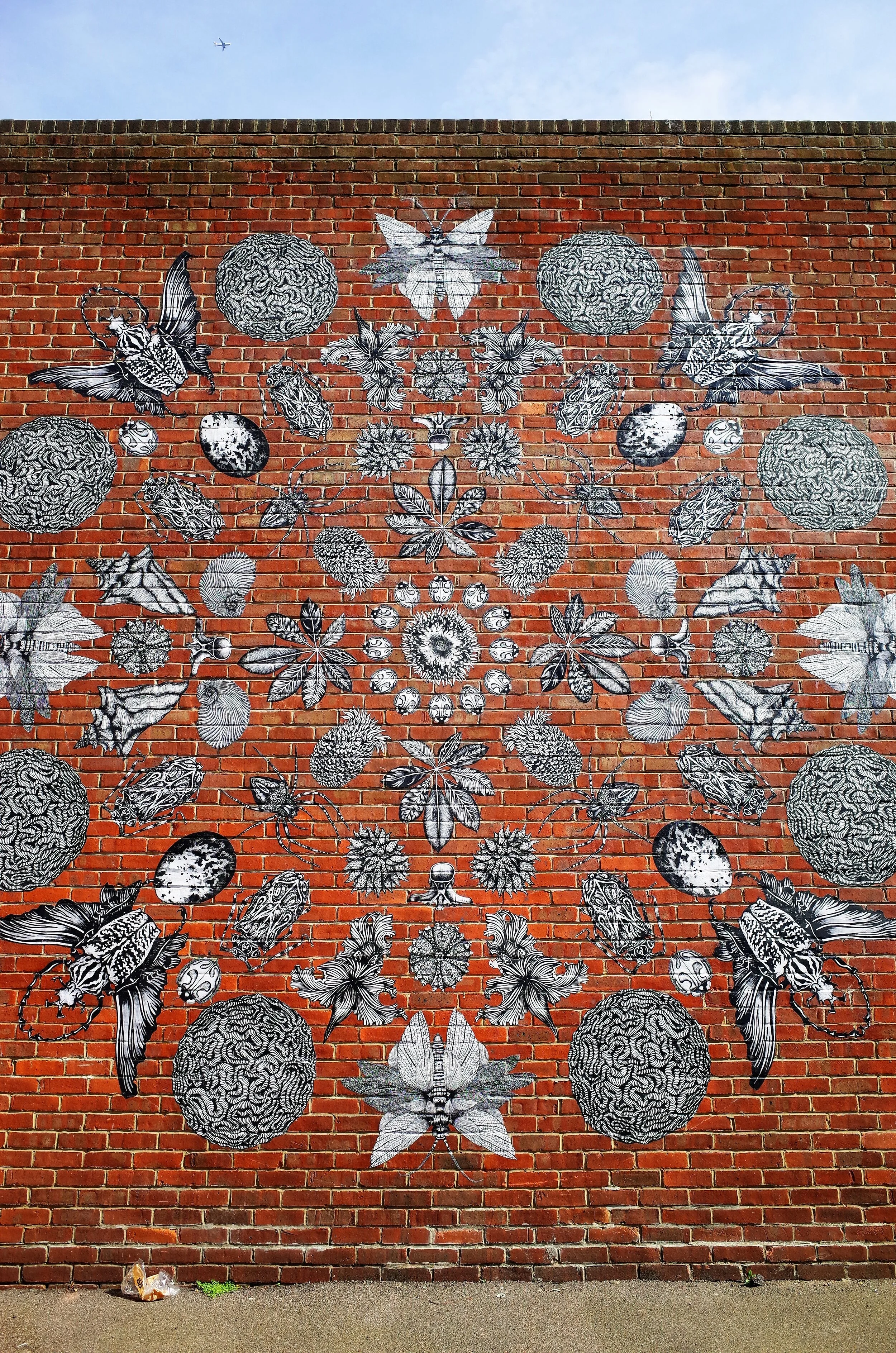 Beatle wall vertical enhanced.jpg