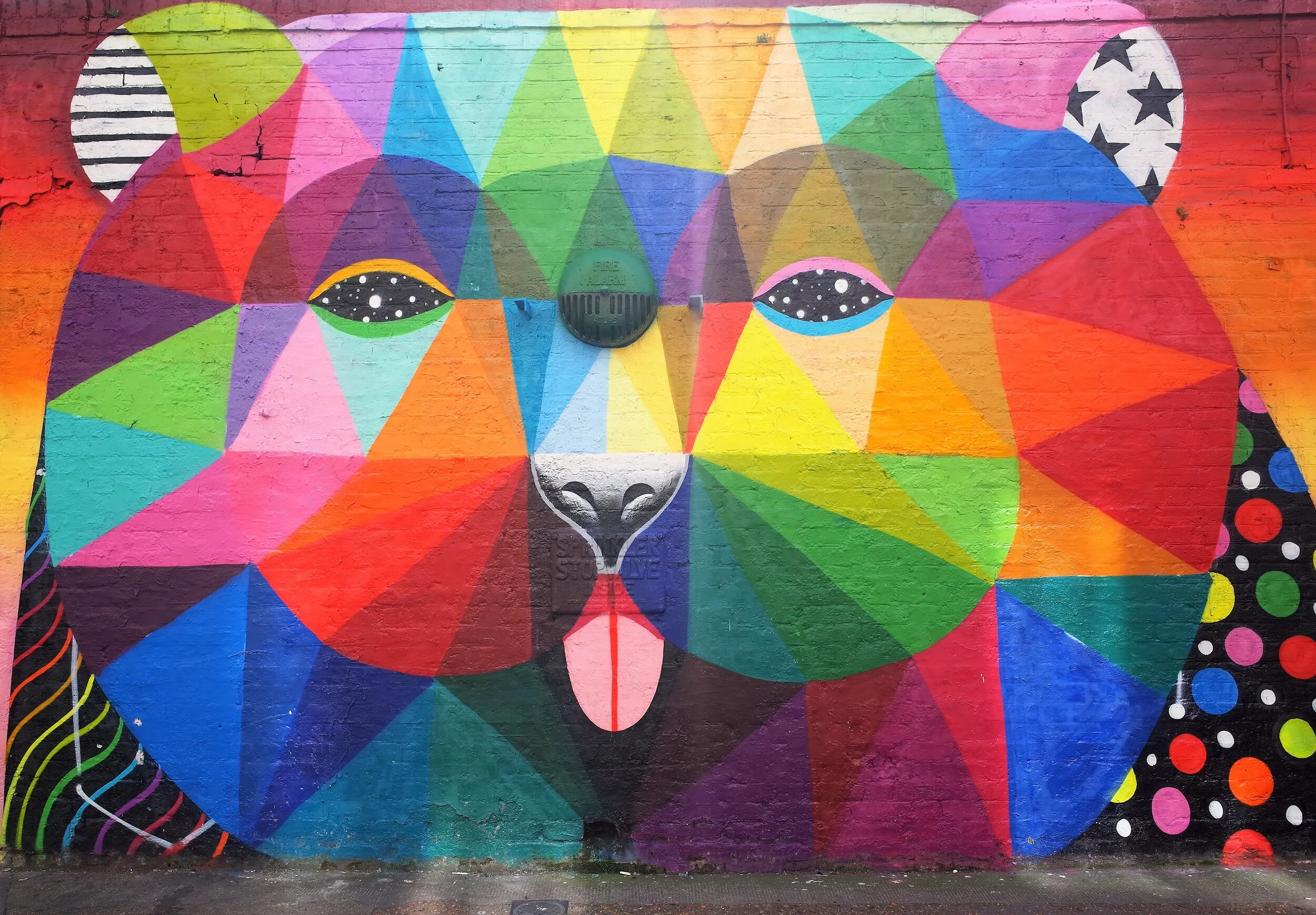 Enhanced psycadel bear orig.jpg