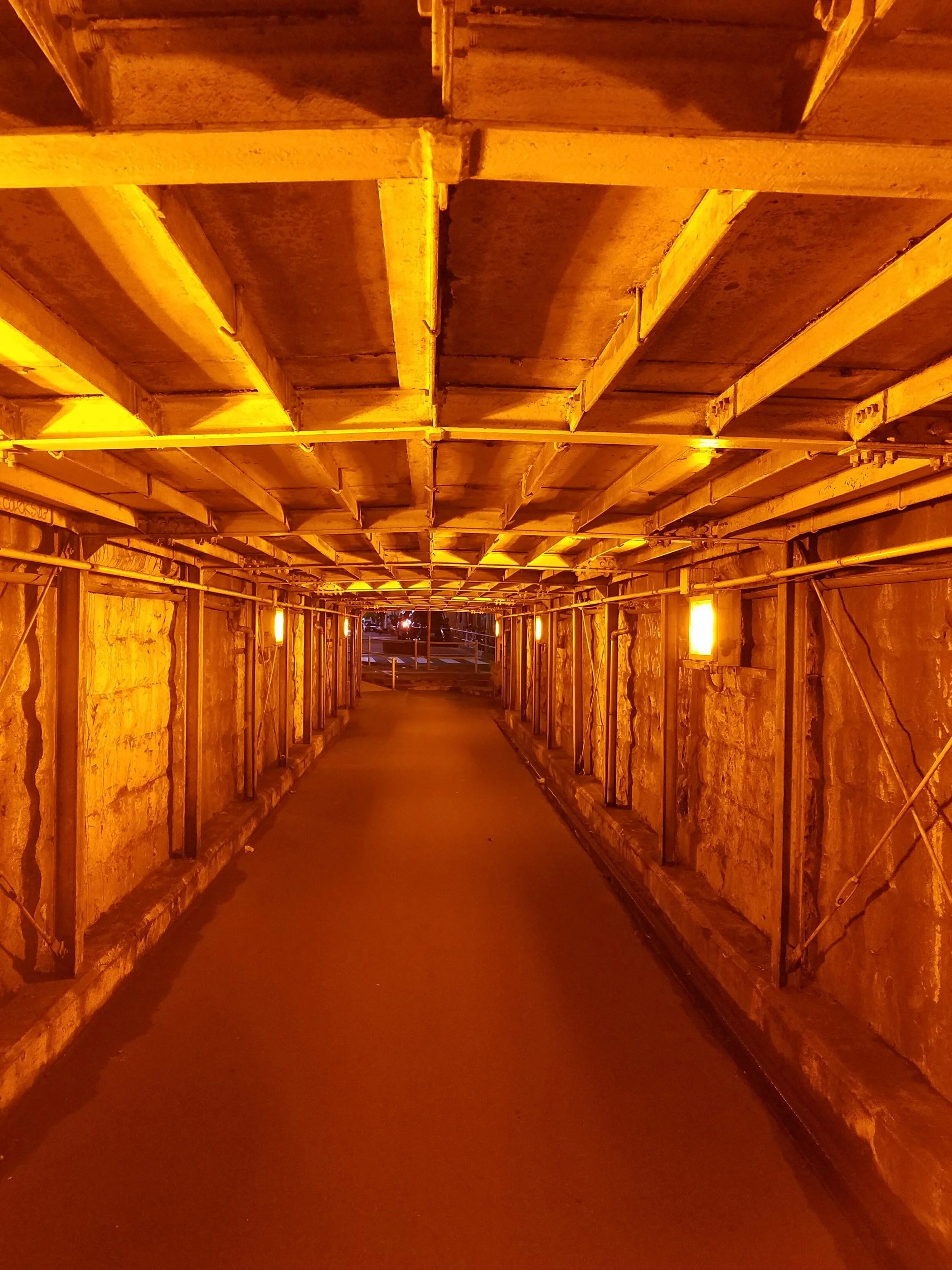 20170811_225557.jpg