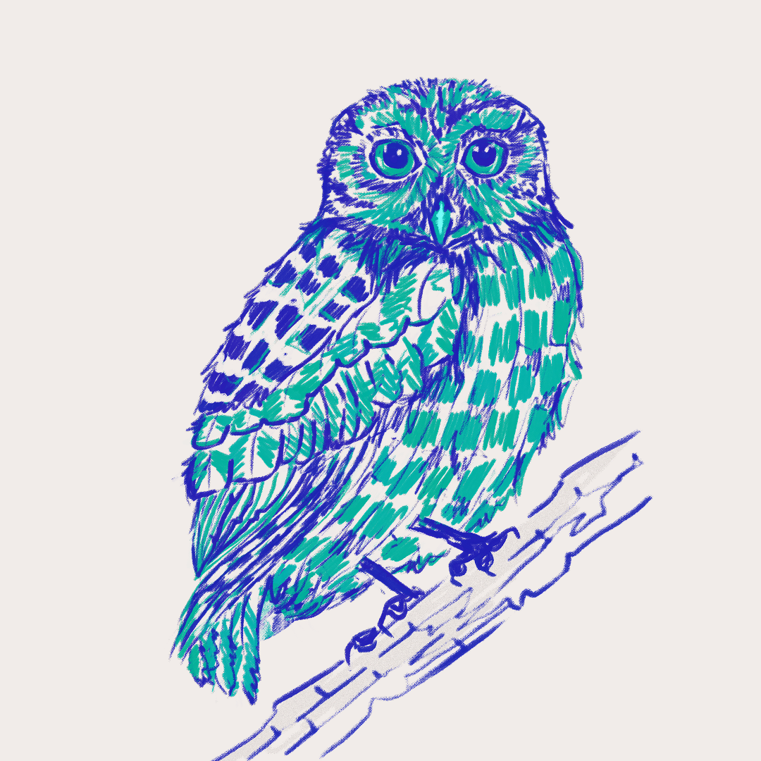 CSLF26-Ilustración-Múcaro_1.png