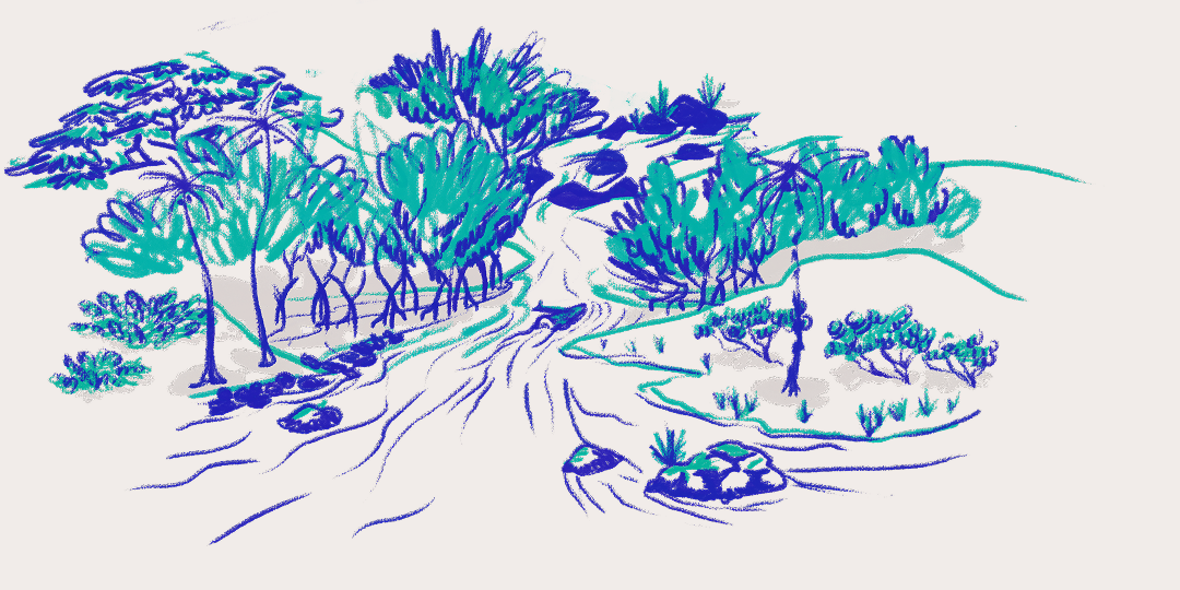 CSLF26-Ilustración-Estuario.png