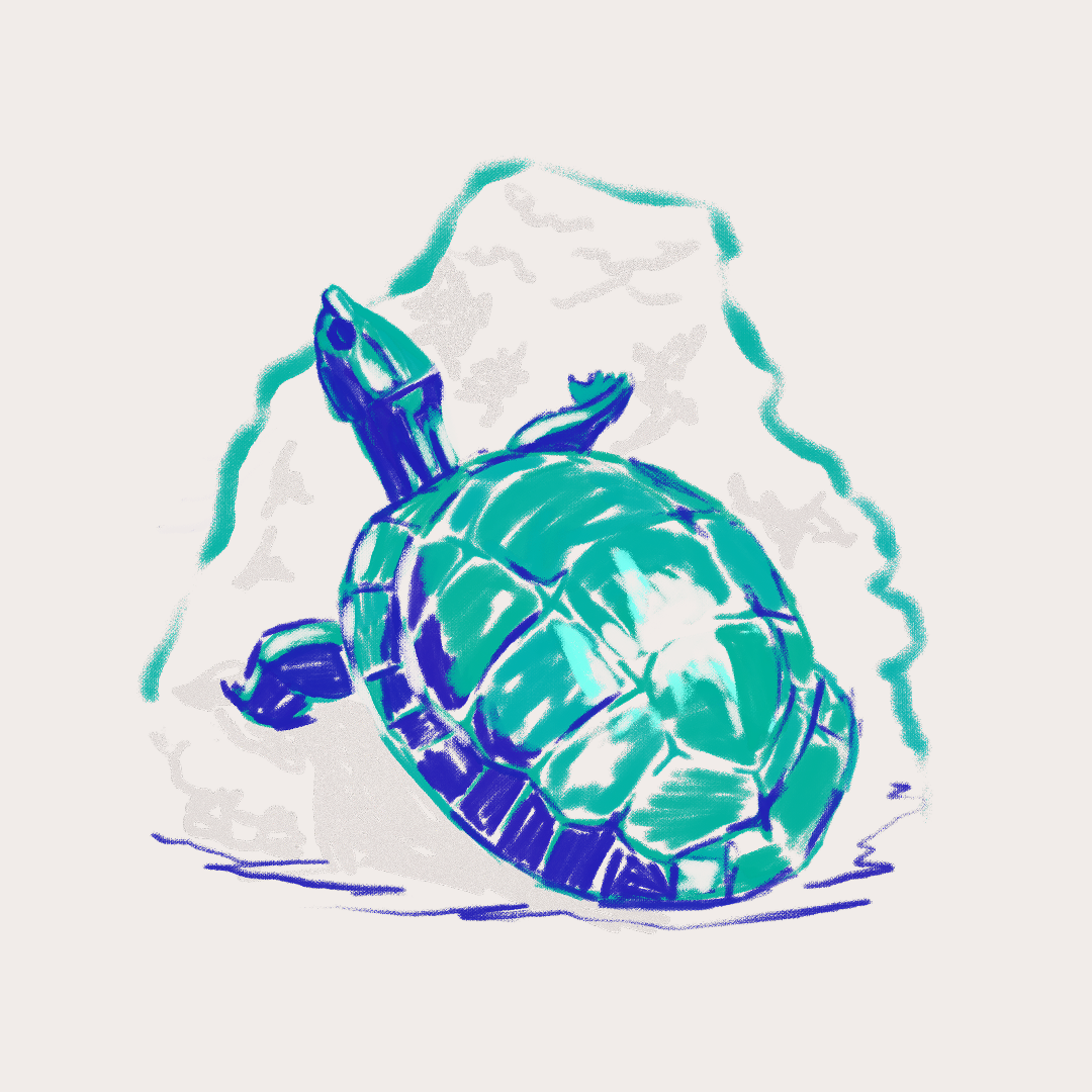 CSLF26-Ilustración-Jicotea_2.png