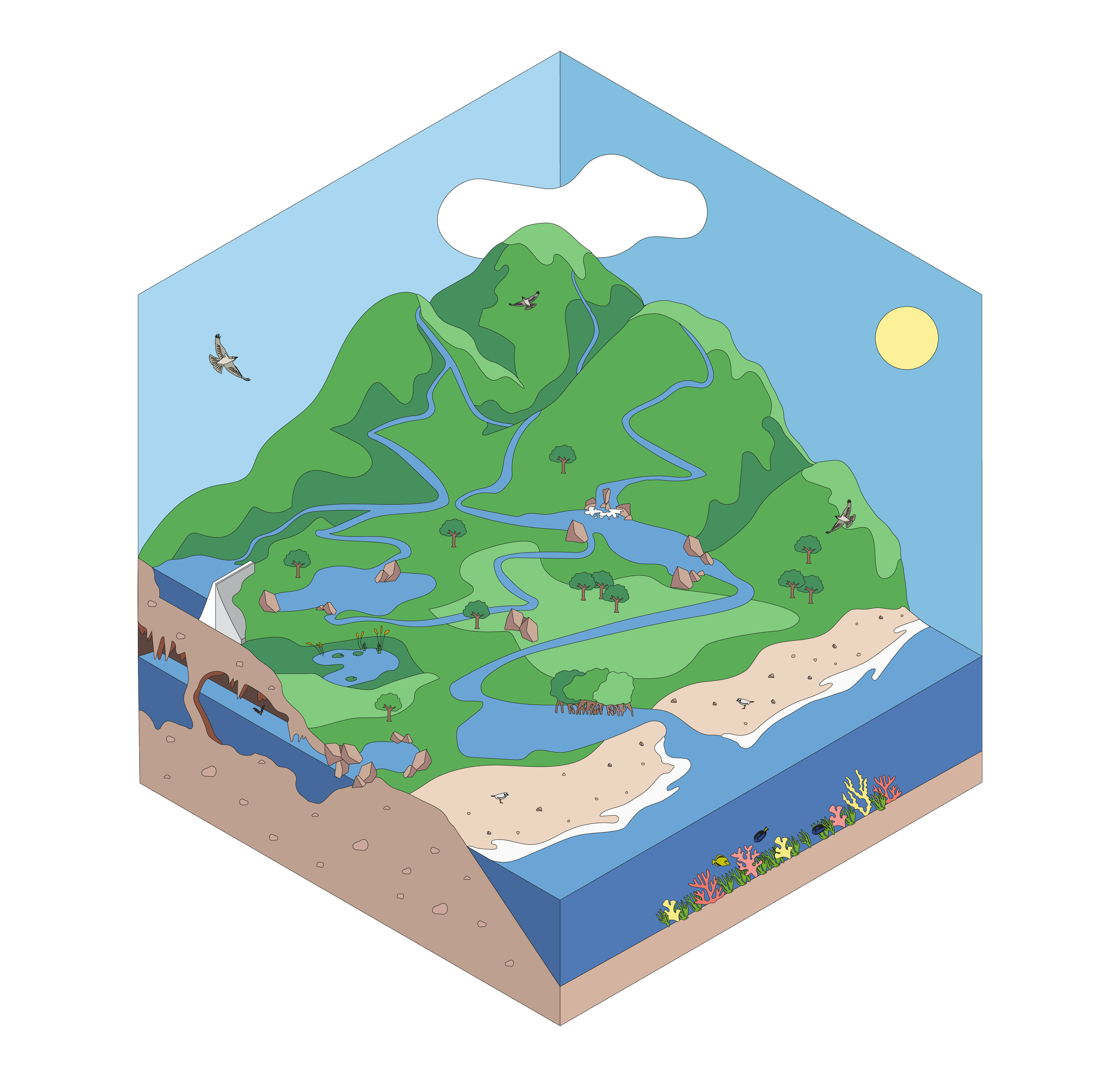 cuenca hidrográfica.png