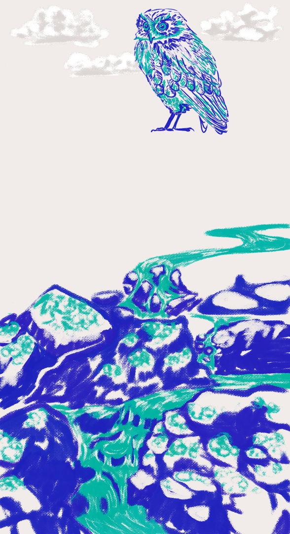 CSLF26-Ilustración-río.png