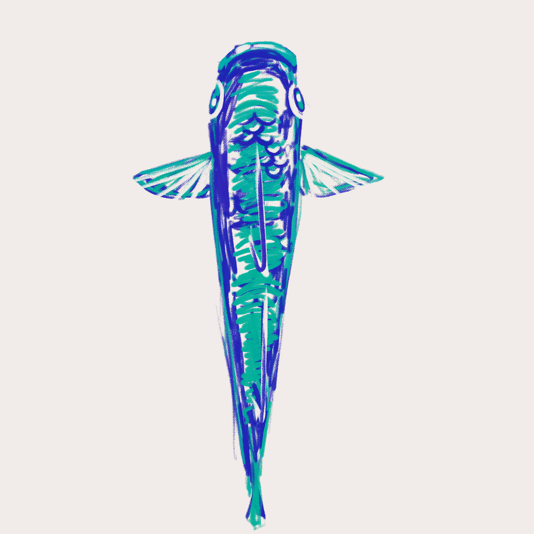 CSLF26-Ilustración-Dajao.png