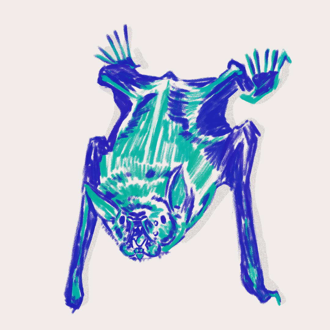 CSLF26-Ilustración-Murciélago_pescador_1.png