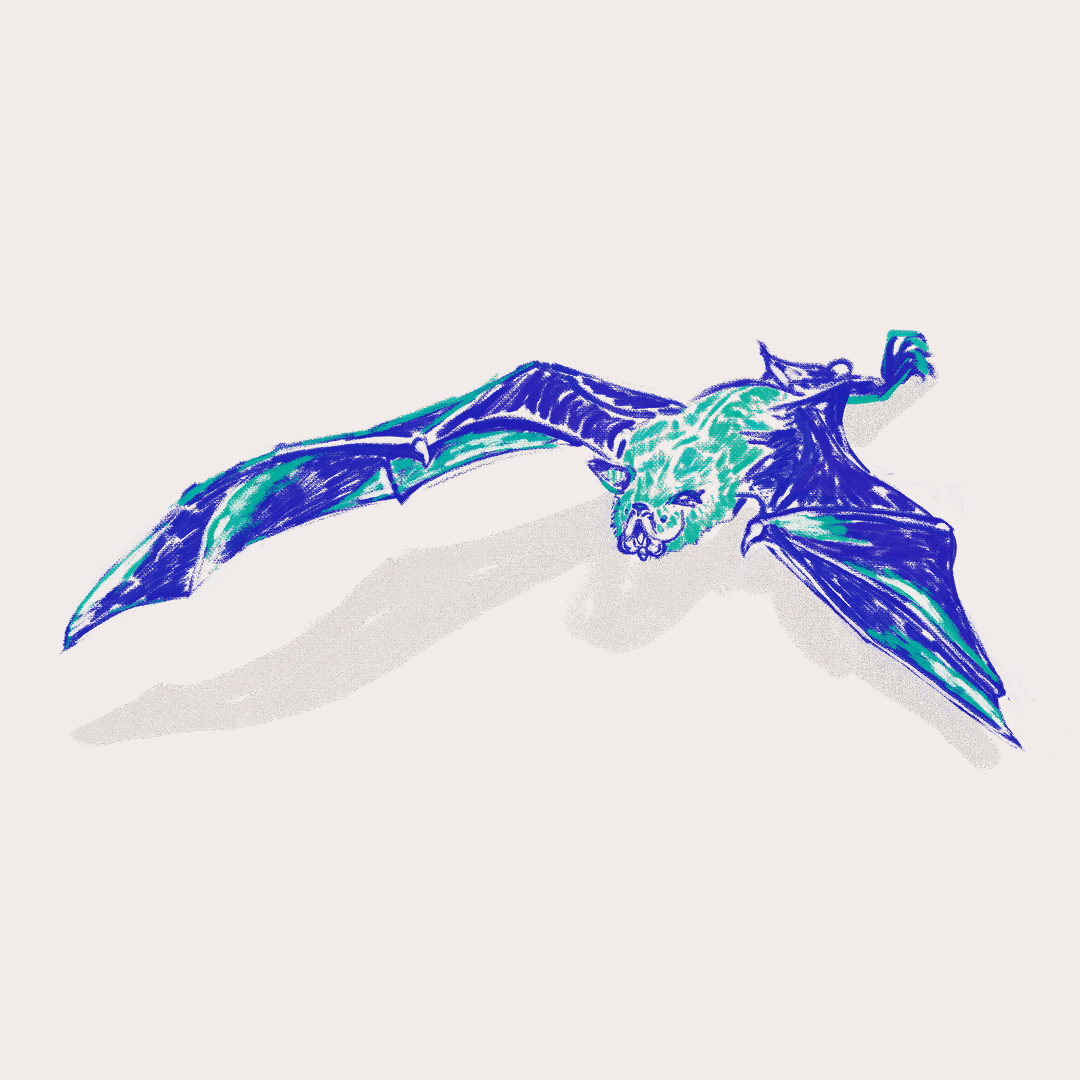 CSLF26-Ilustración-Murciélago_pescador_2.png