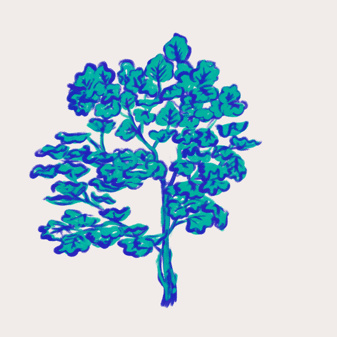 CSLF26-Ilustración-Moralón.png