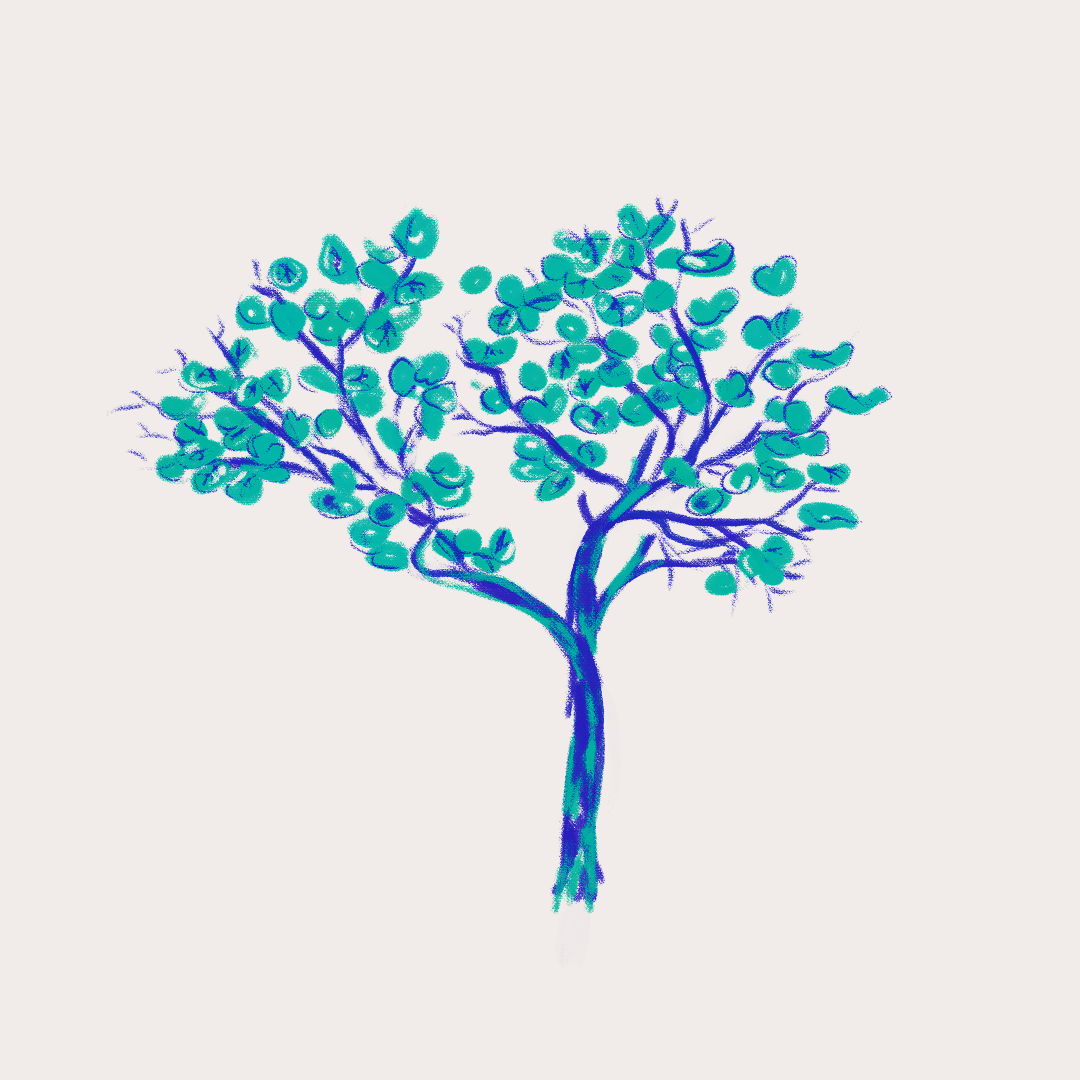 CSLF26-Ilustración-Uva_de_playa.png