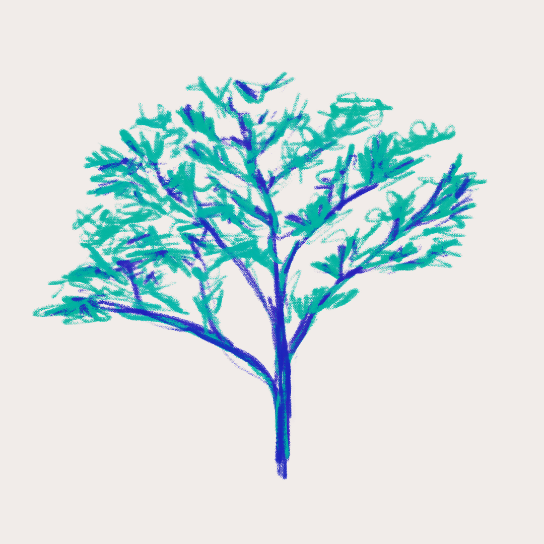 CSLF26-Ilustración-Granadillo.png