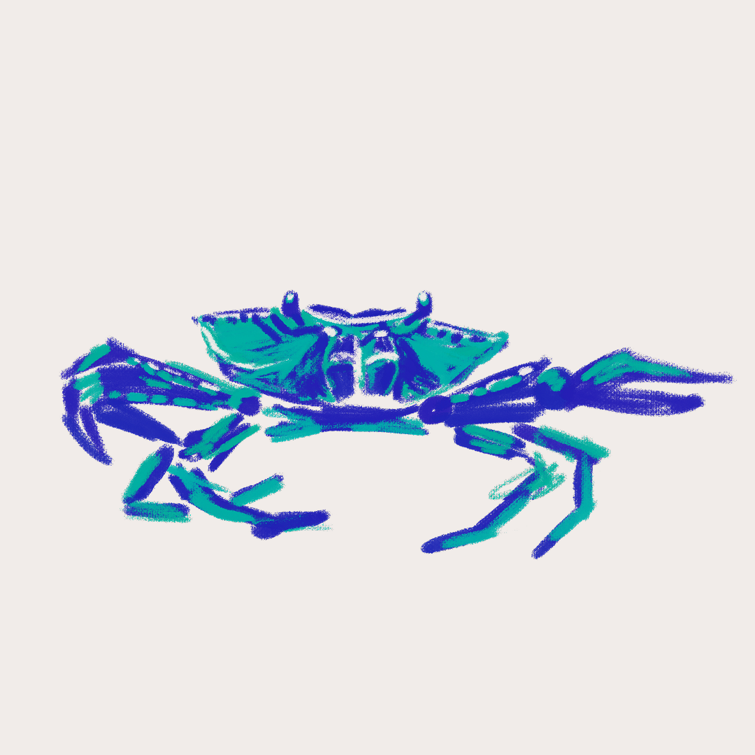 CSLF26-Ilustración-Buruquena.png