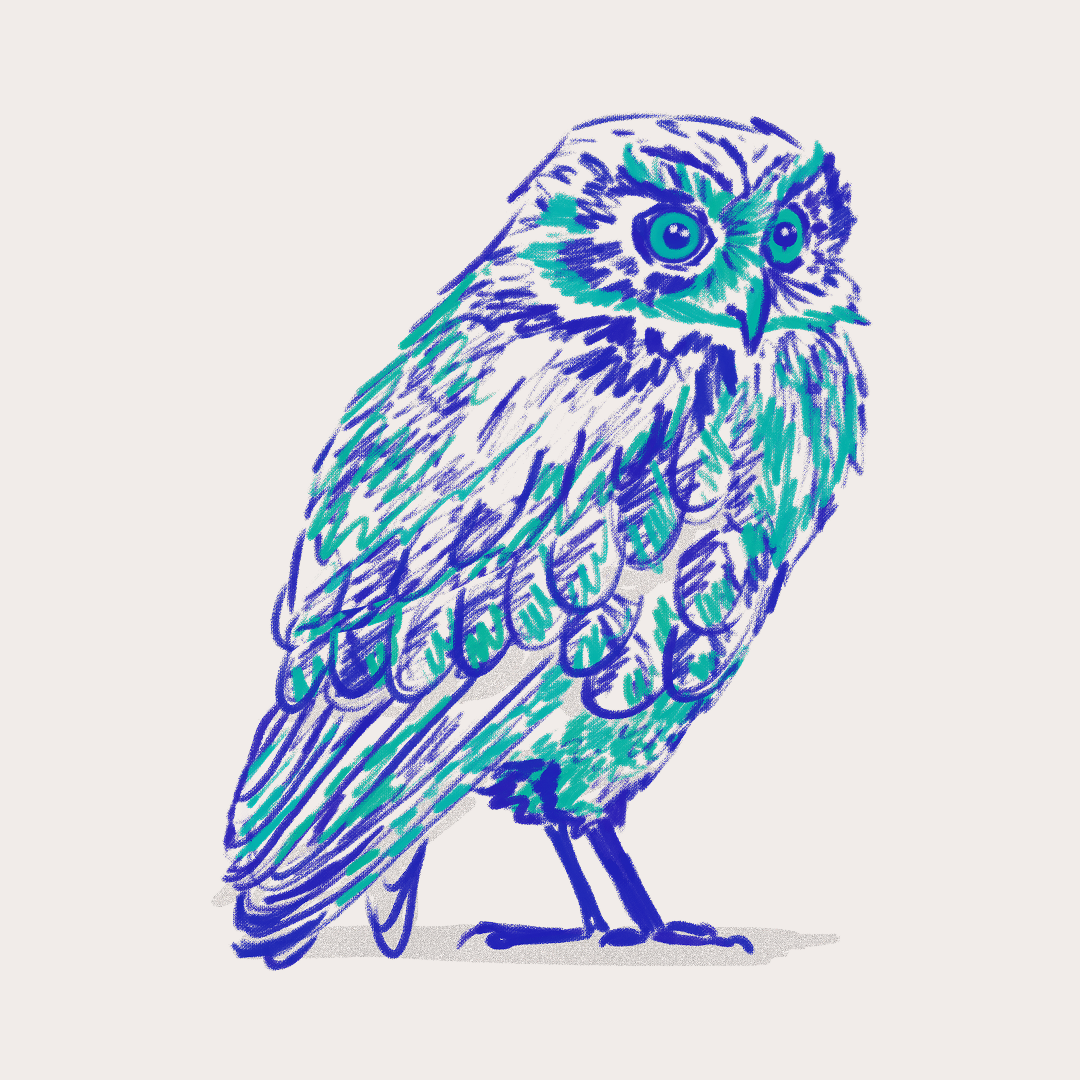 CSLF26-Ilustración-Múcaro_3.png