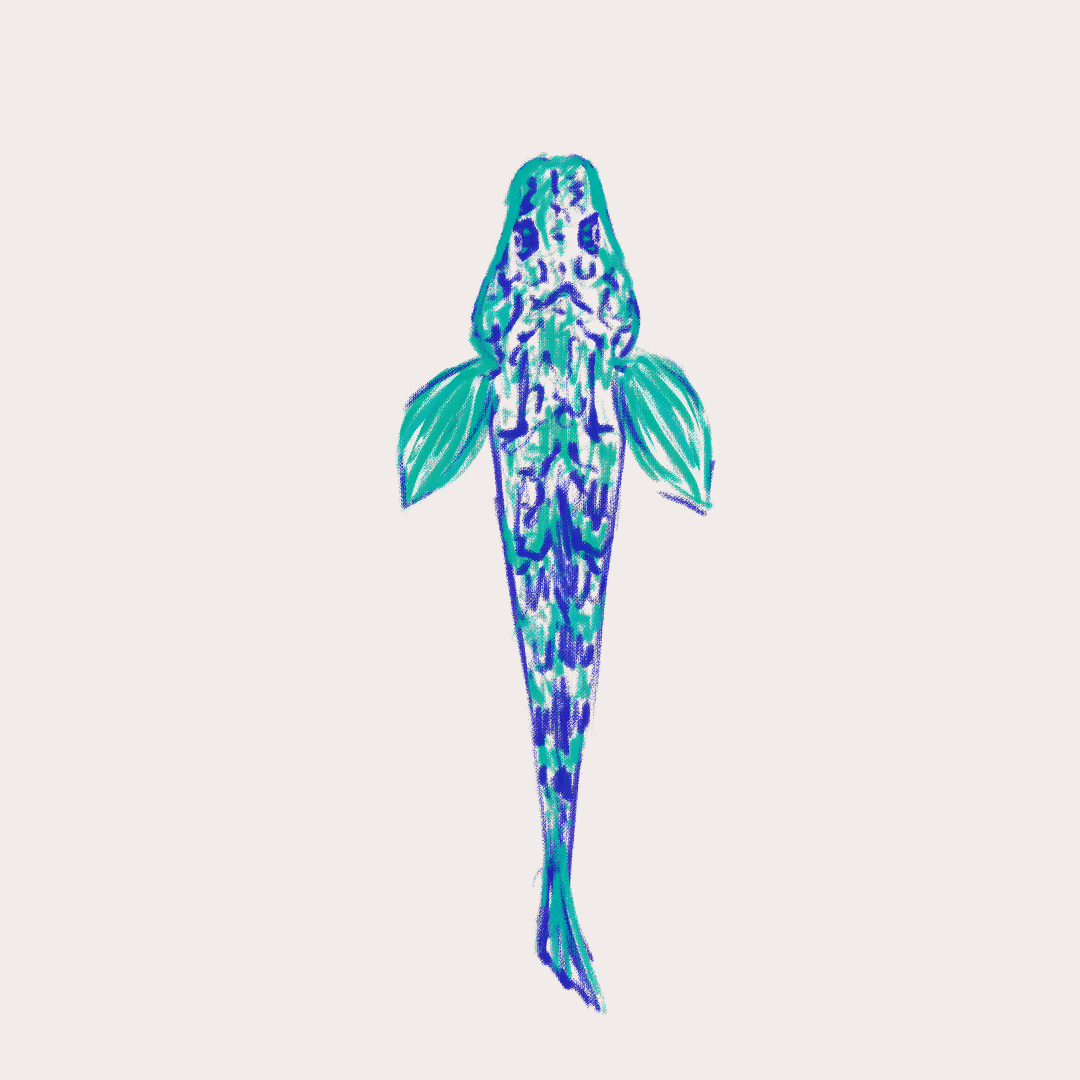 CSLF26-Ilustración-Goby.png