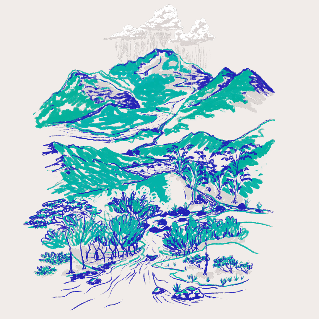 CSLF26-Ilustración-De_la_cima_a_la_costa.png