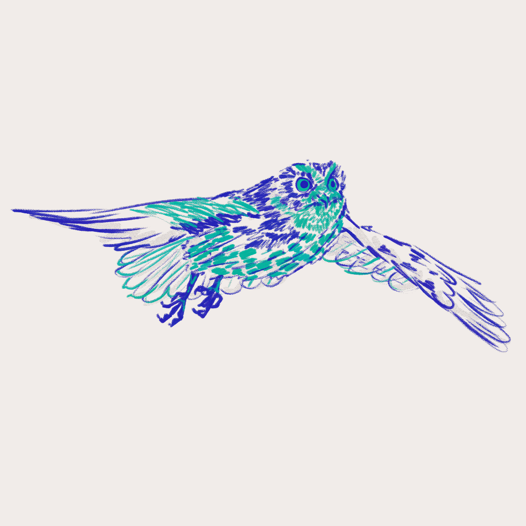 CSLF26-Ilustración-Múcaro_5.png