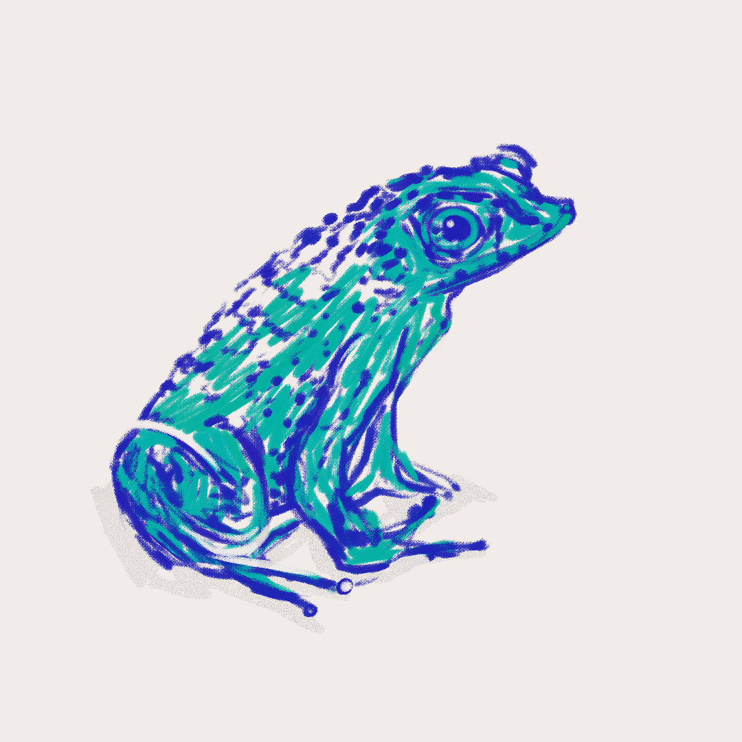 CSLF26-Ilustración-Sapo_Concho.png