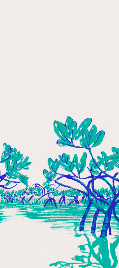 CSLF26-Ilustración-Manglar.png