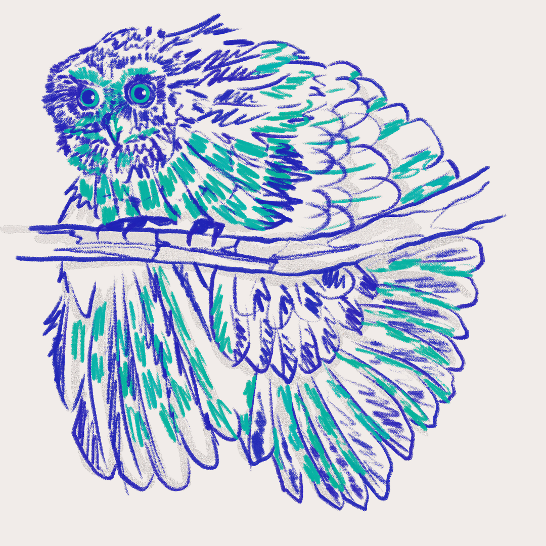 CSLF26-Ilustración-Múcaro_4.png