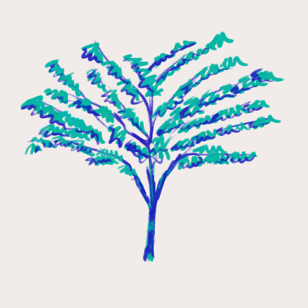 CSLF26-Ilustración-Matabuey.png