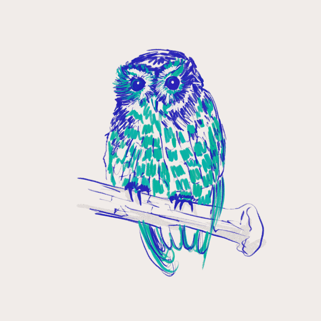 CSLF26-Ilustración-Múcaro_2.png