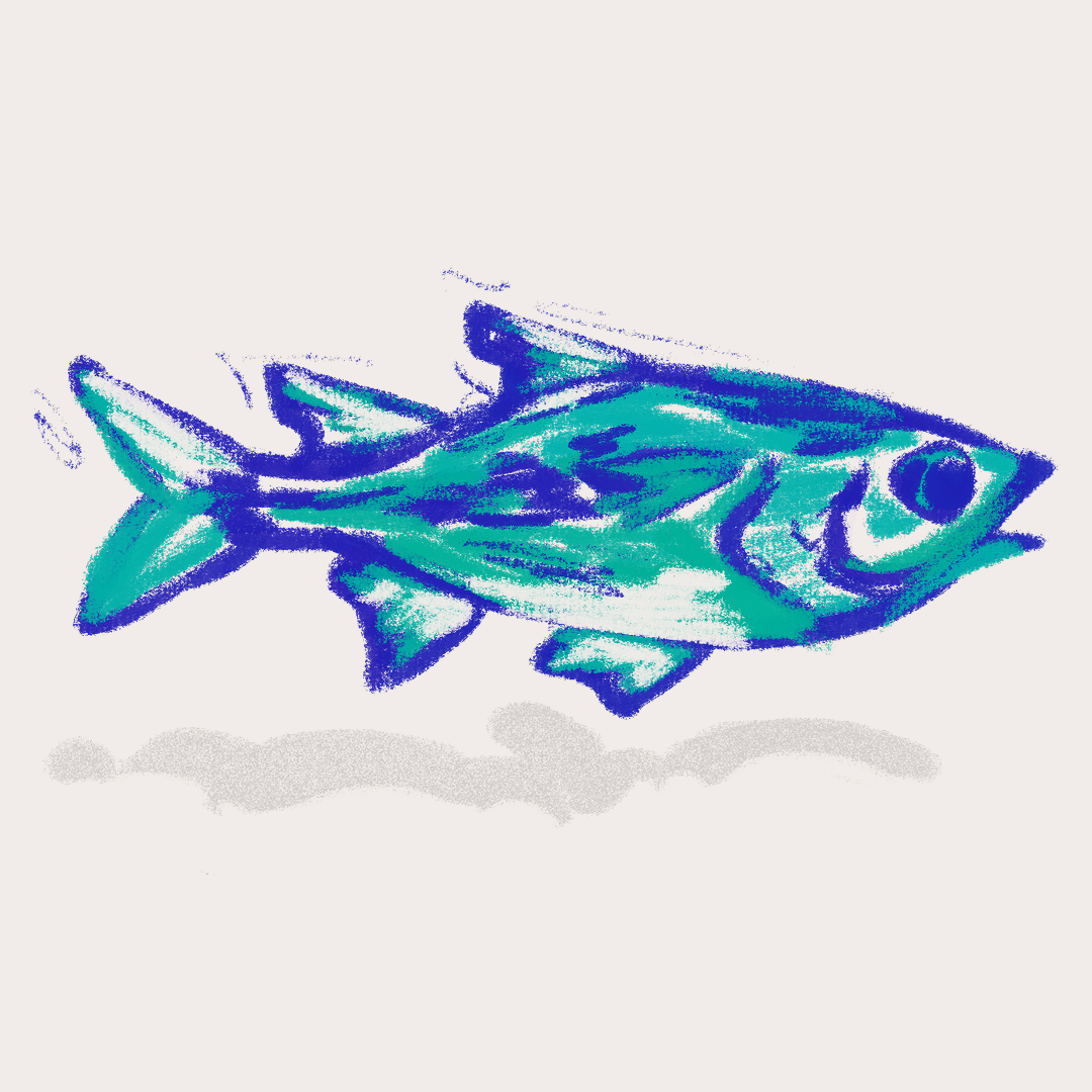 CSLF26-Ilustración-Dajao_2.png