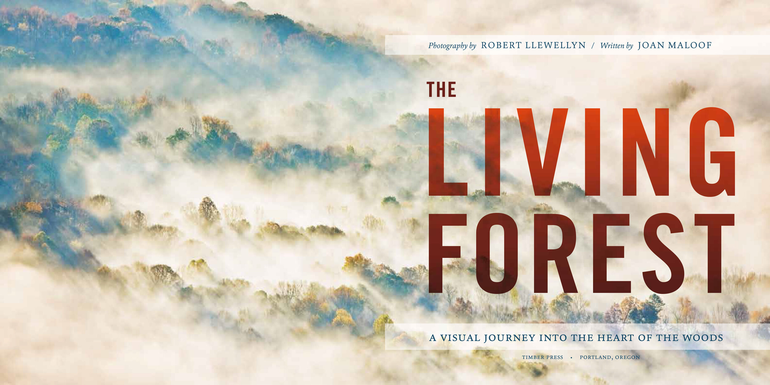 LivingForest_int03.jpg