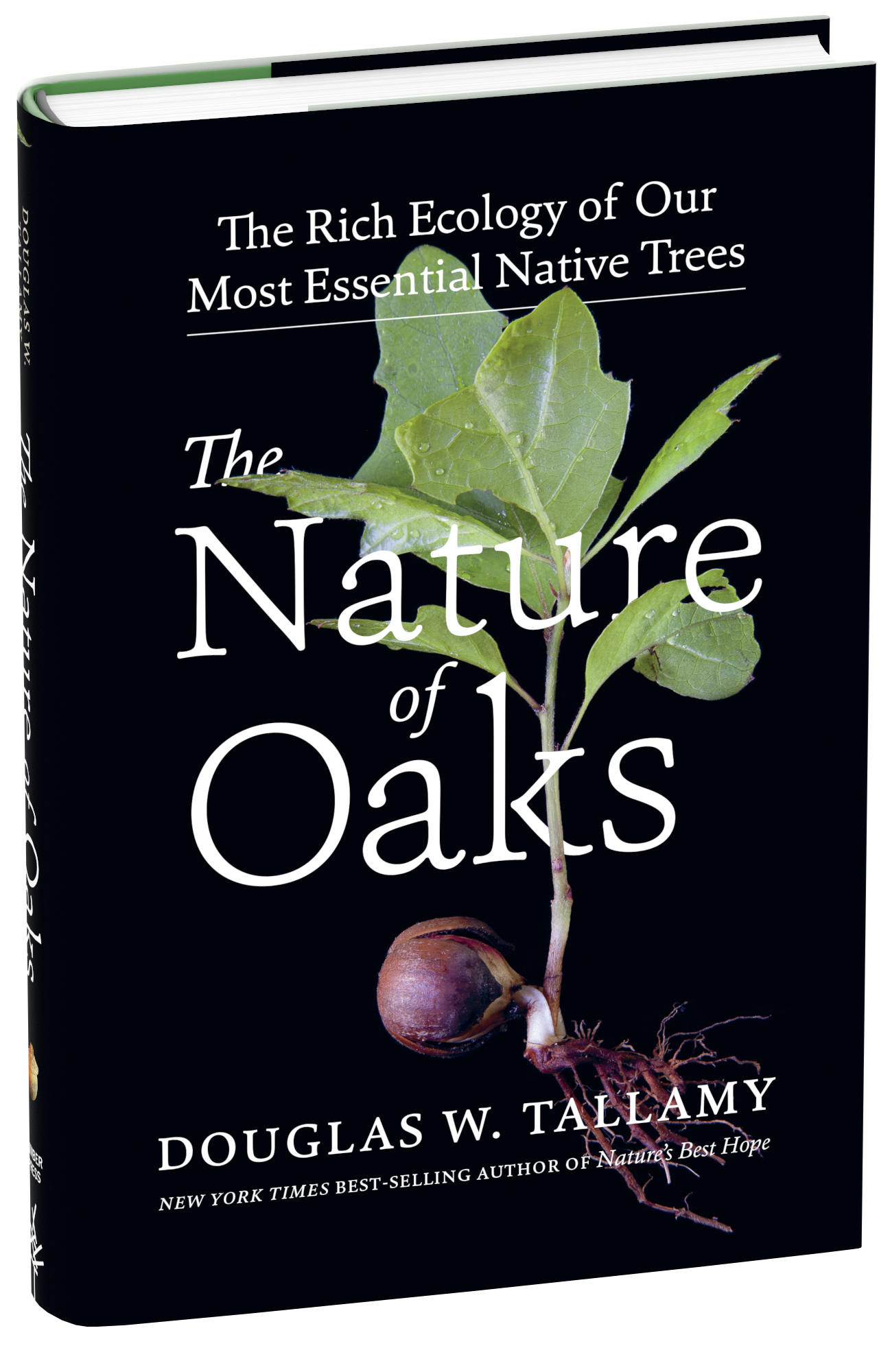 NatureofOaks.png