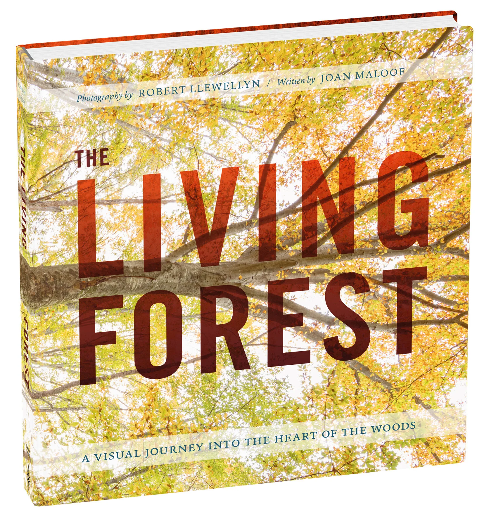 LivingForest_cvr_3D.jpg