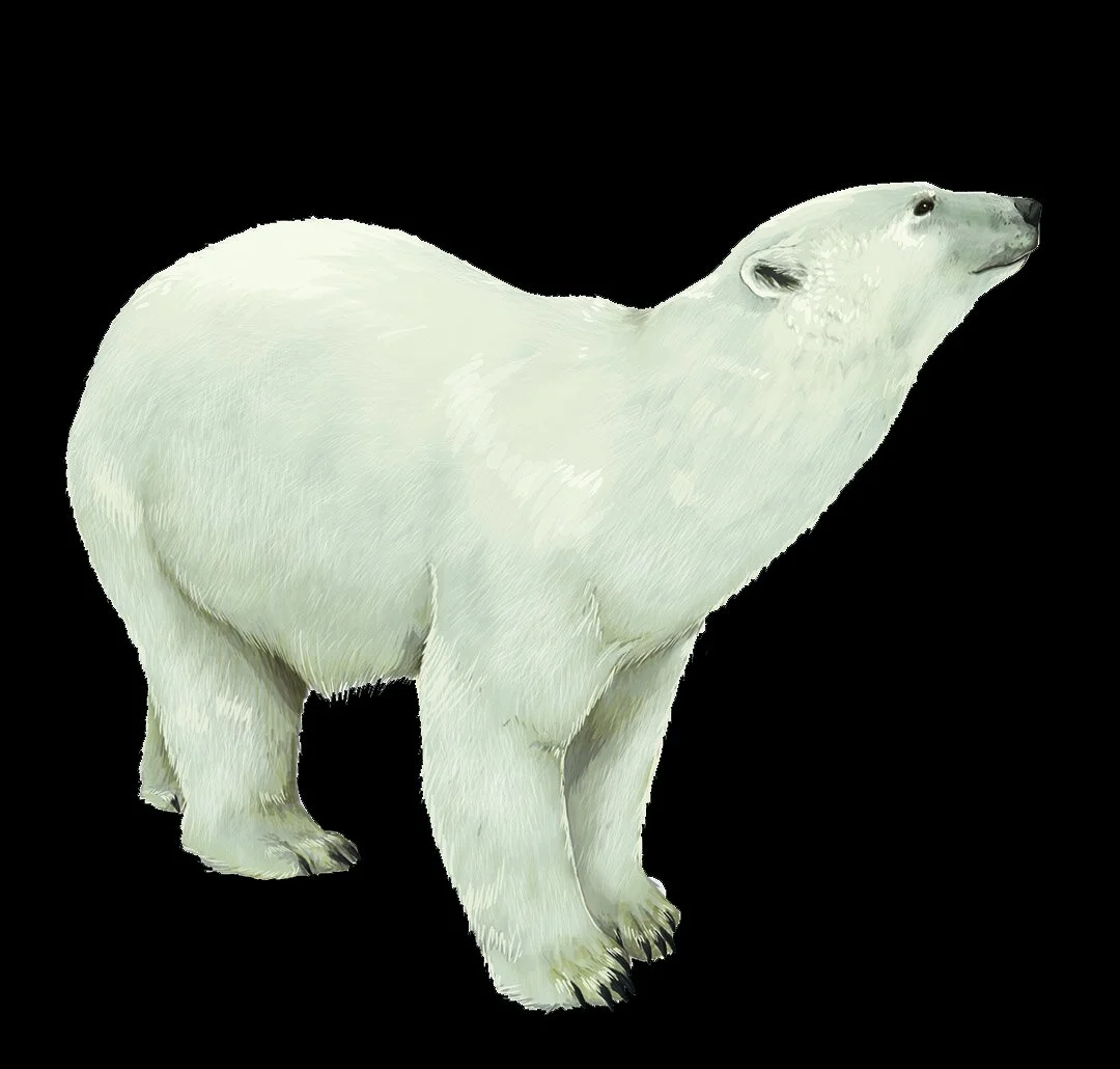 The Atlas of a Changing Climate