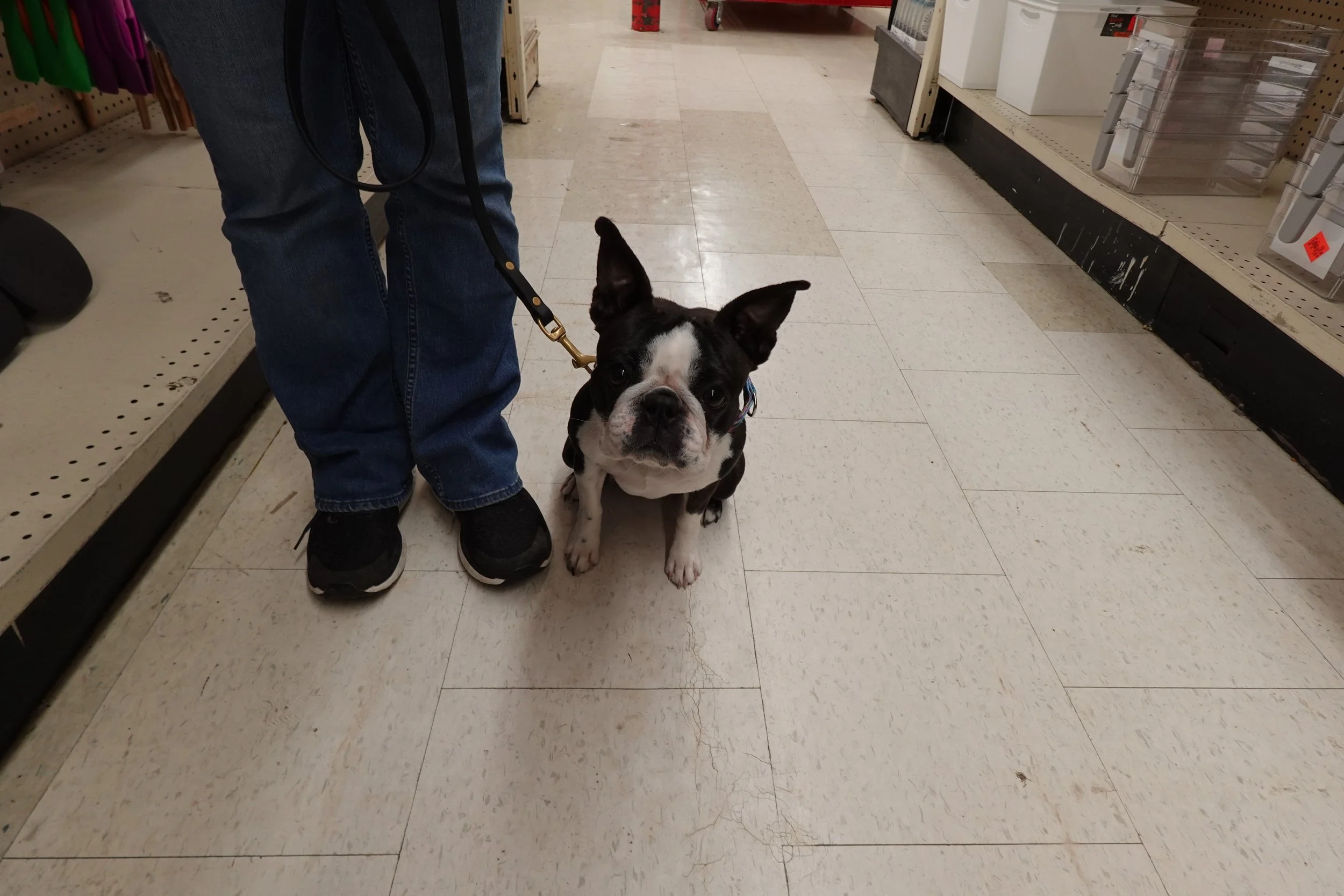 Guitar Diaries Jan 20 2023