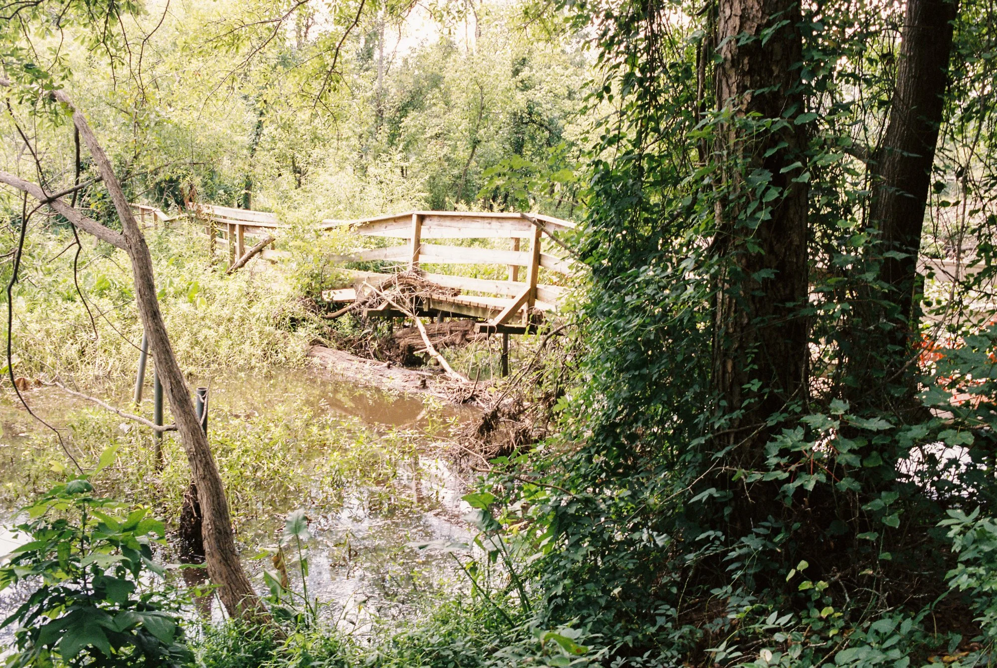 Greenville County, SC