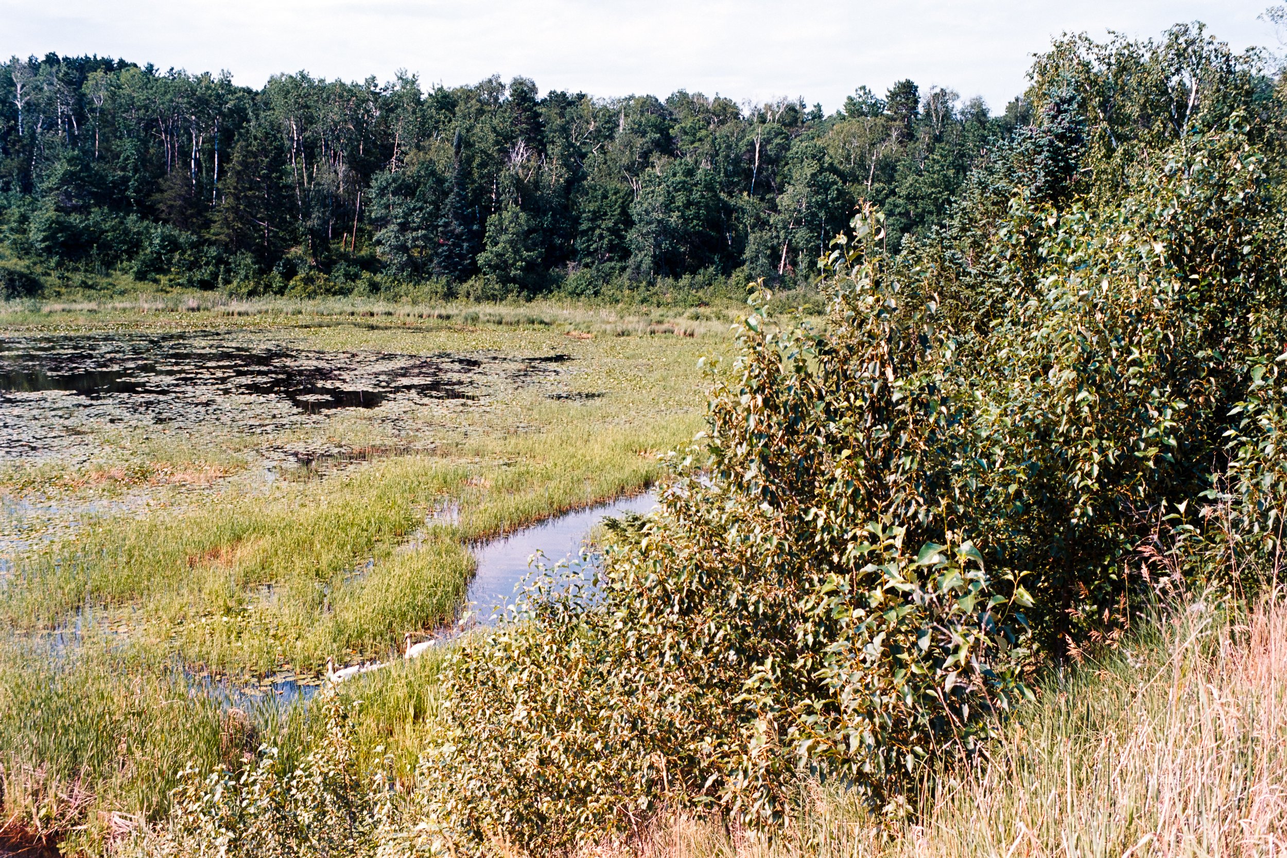 DSC_4596.jpg