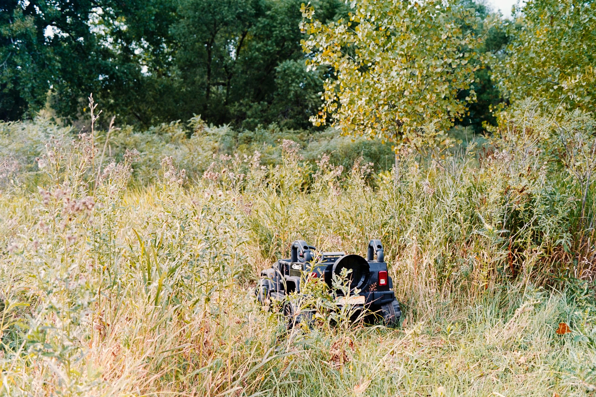 DSC_4553.jpg