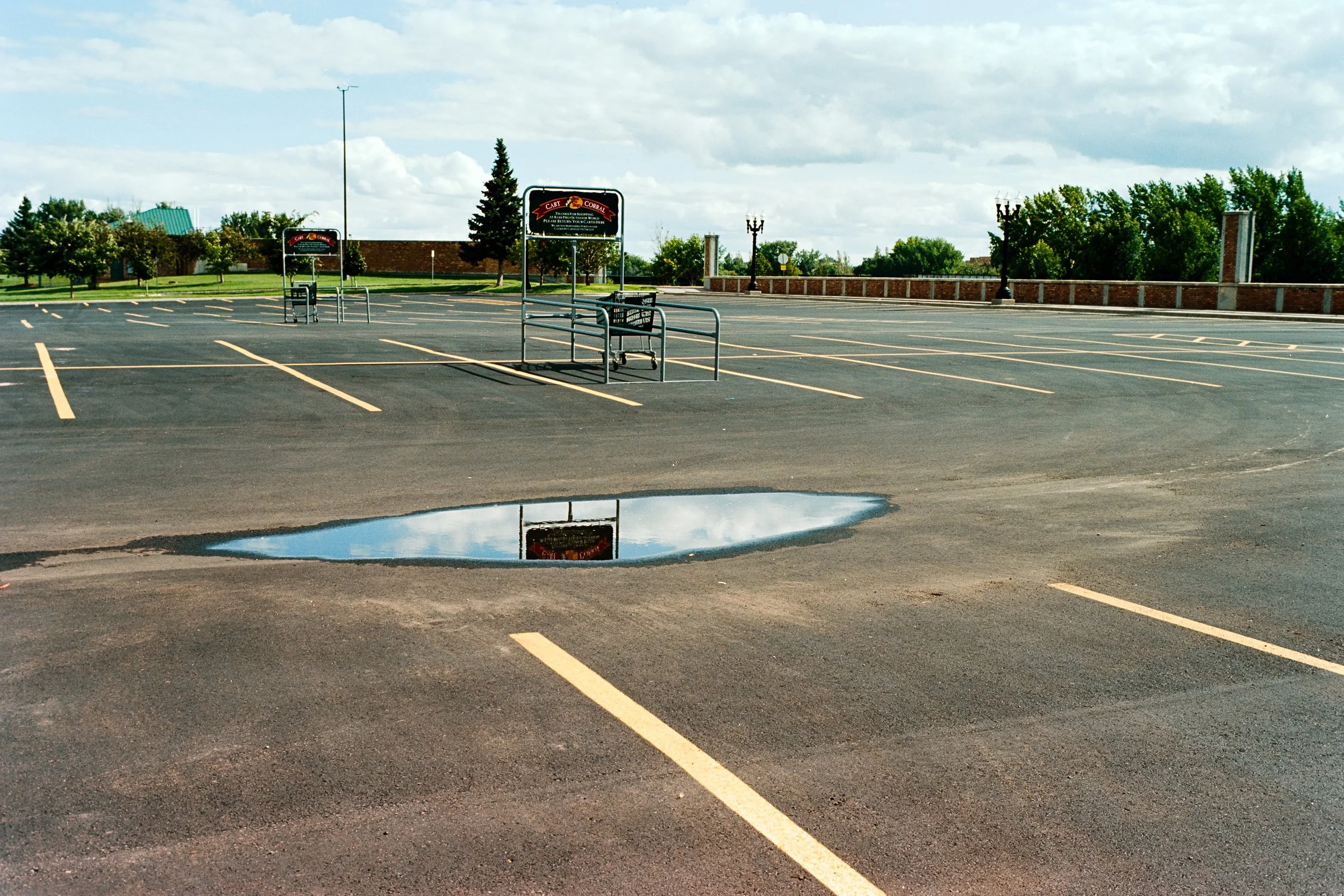 DSC_4534.jpg