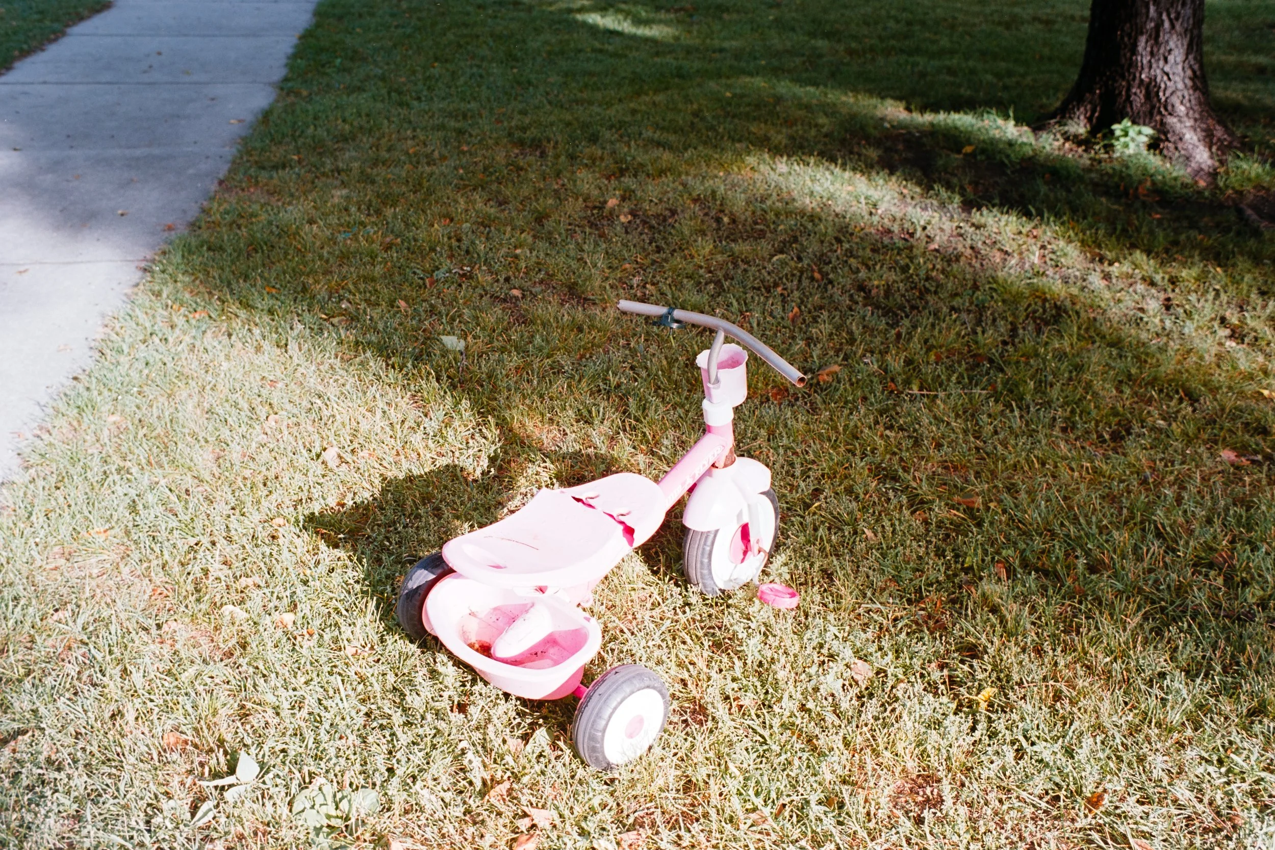 DSC_4458.jpg