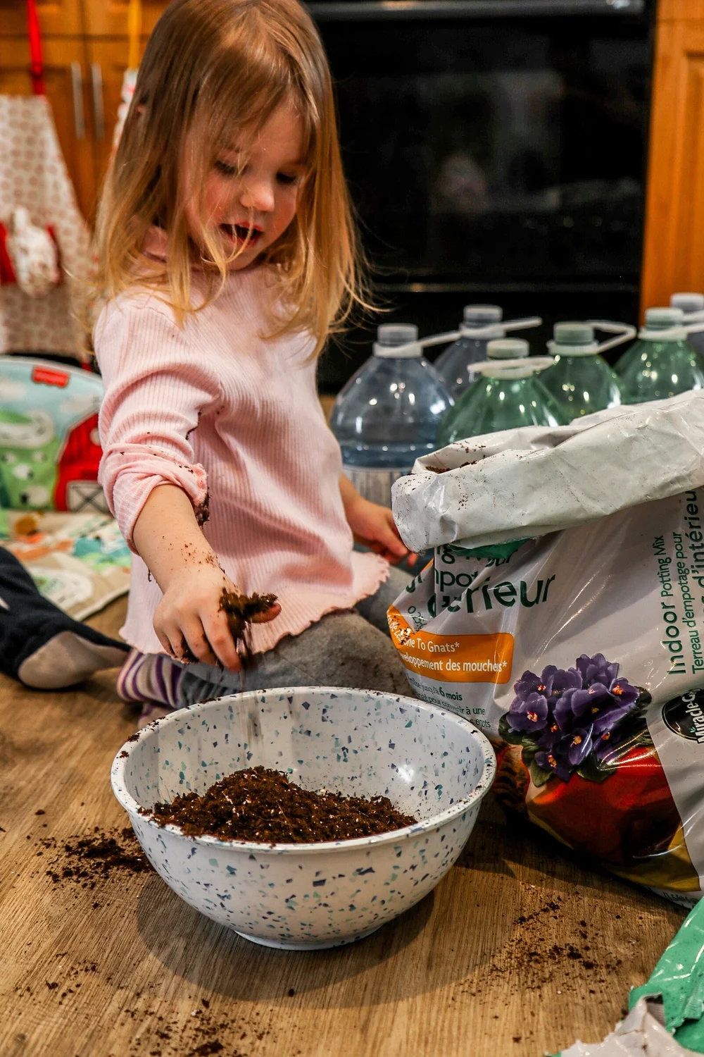 Moisten your potting soil (Copy)