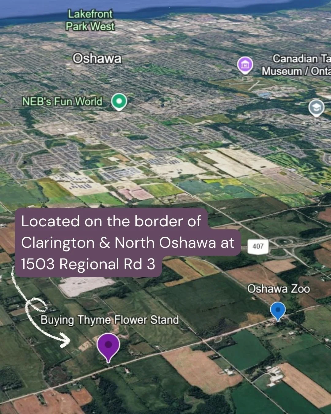 Map of Buying Thyme Flowerstand