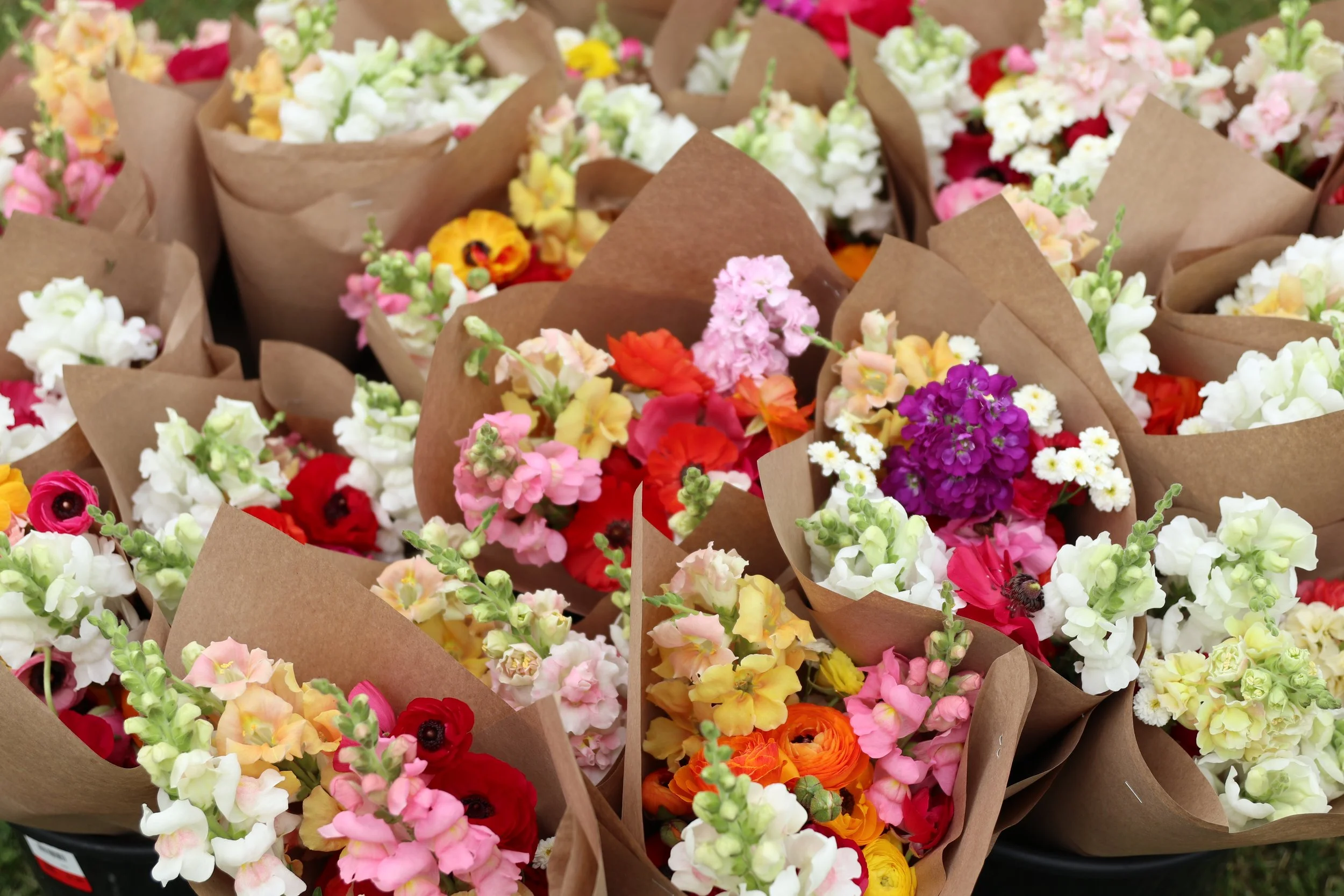 Multiple colorful flower bouquets wrapped in brown paper, displayed together, featuring a variety of flowers such as snapdragons, ranunculus, stock, and feverfew in shades of white, pink, purple, yellow, orange, and red.