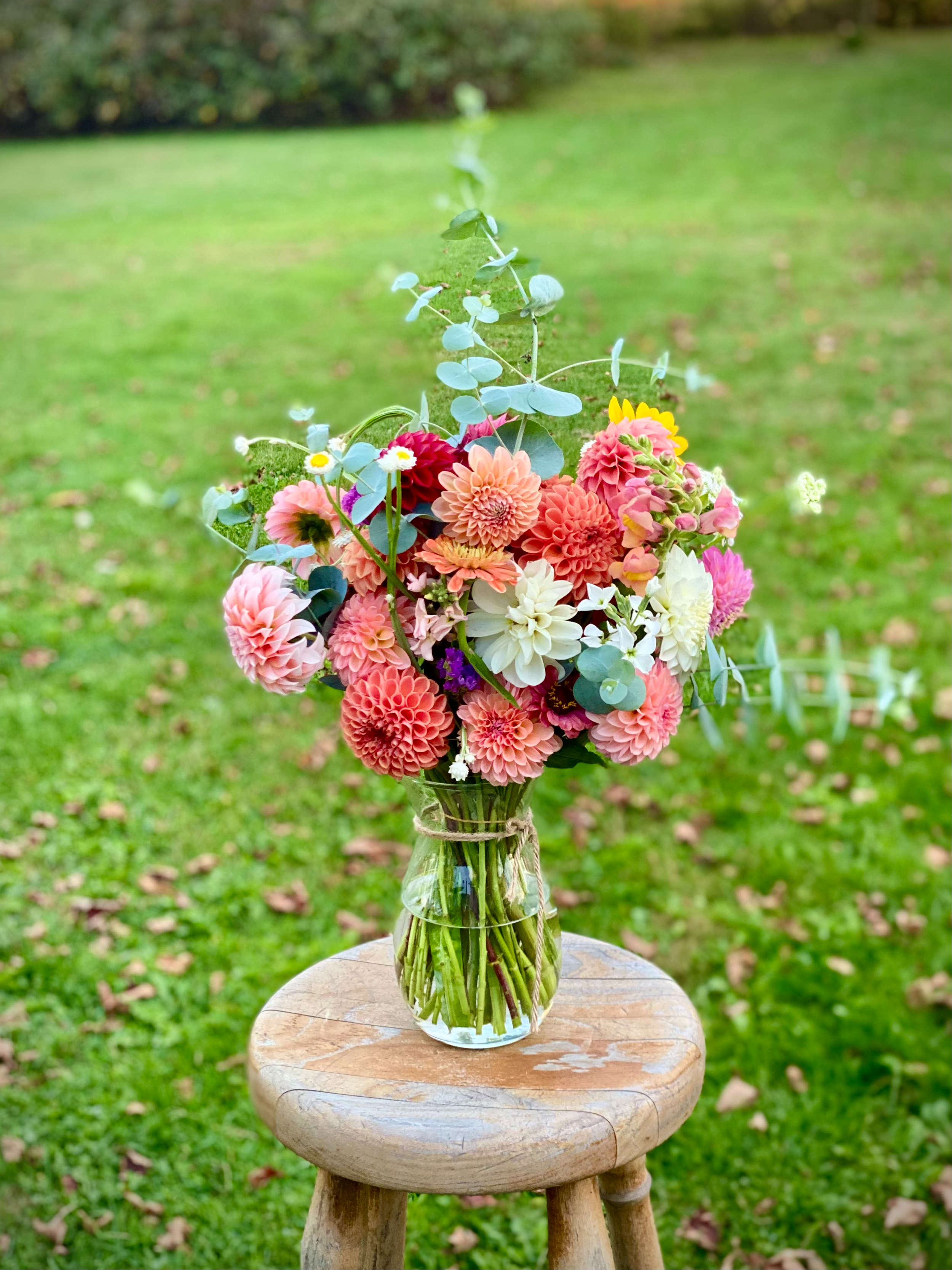 A colorful bouquet of flowers, including dahlias, eucalyptus, zinnias and winged everlasting, in a clear glass vase on a rustic wooden stool outdoors in a grassy area.