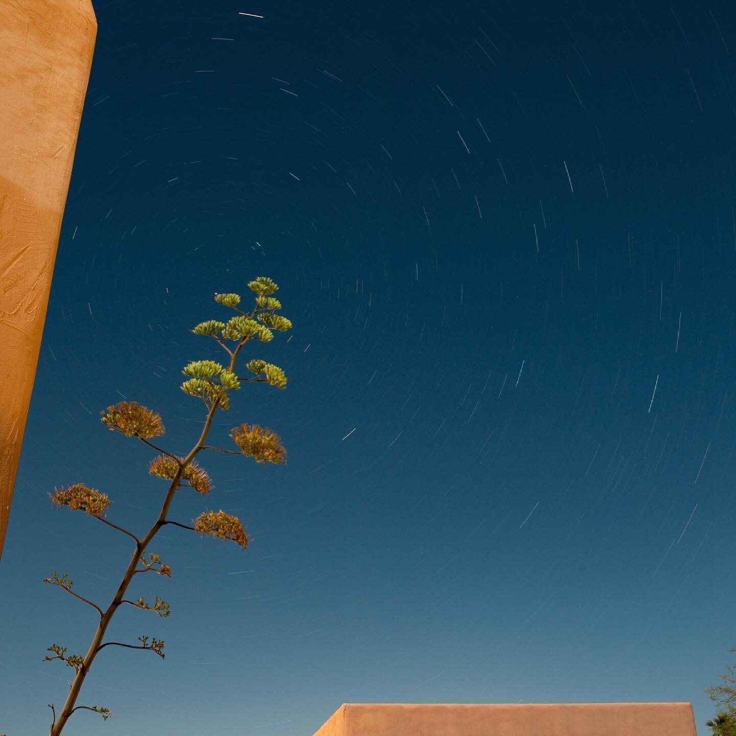 More desert moments. #polaris #desert #darkskies #california #photography #art #longexposure #contemporaryart #gettingoutagain #vaccinationdone✔️