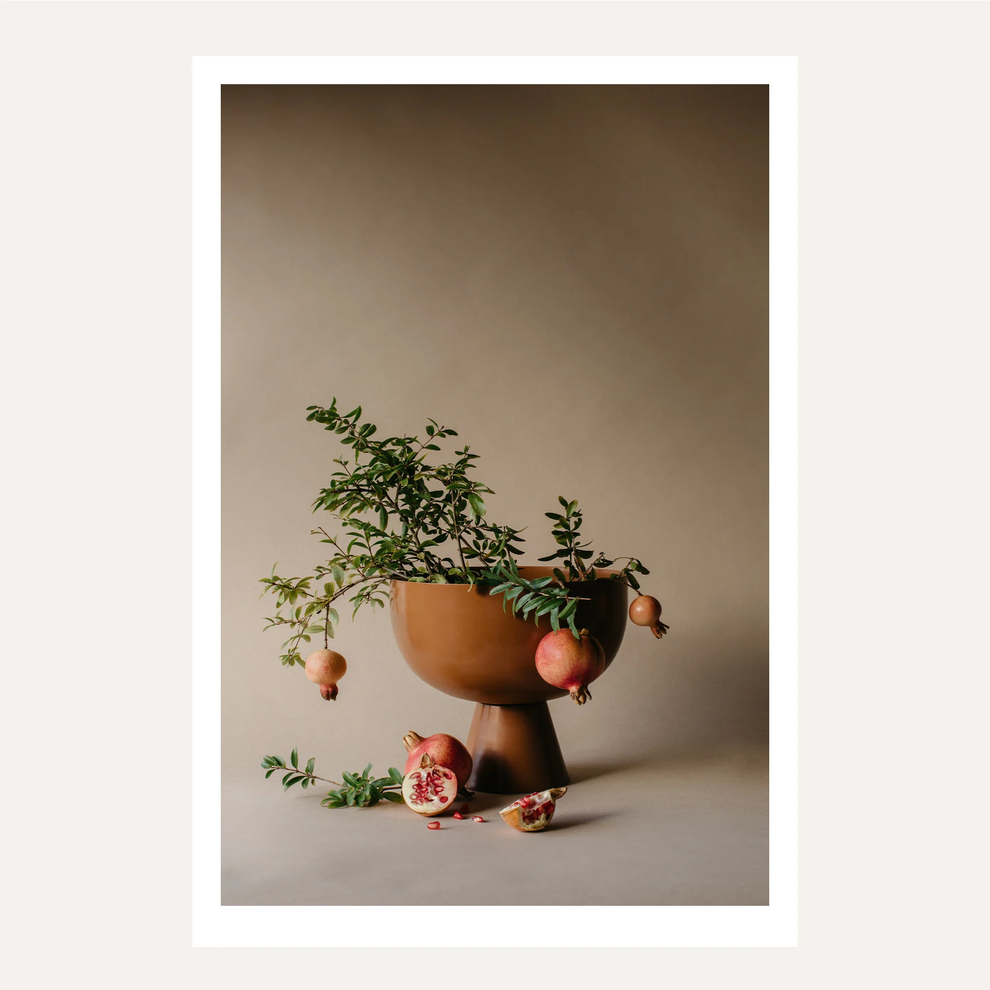 Mariya Louise Walnut rangli fotosurati