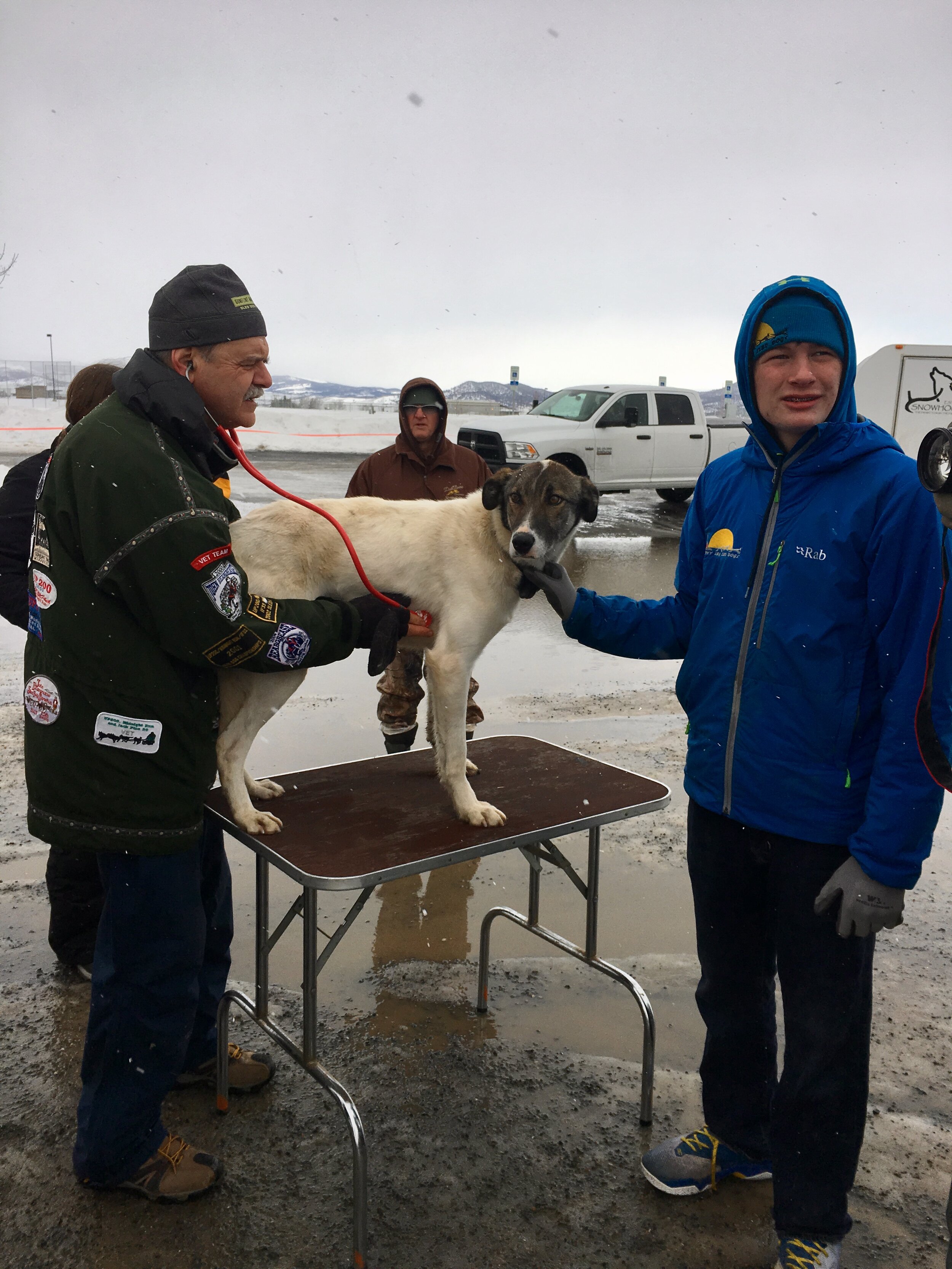 Spencer, Dr. Topham, Colt at the vet check.
