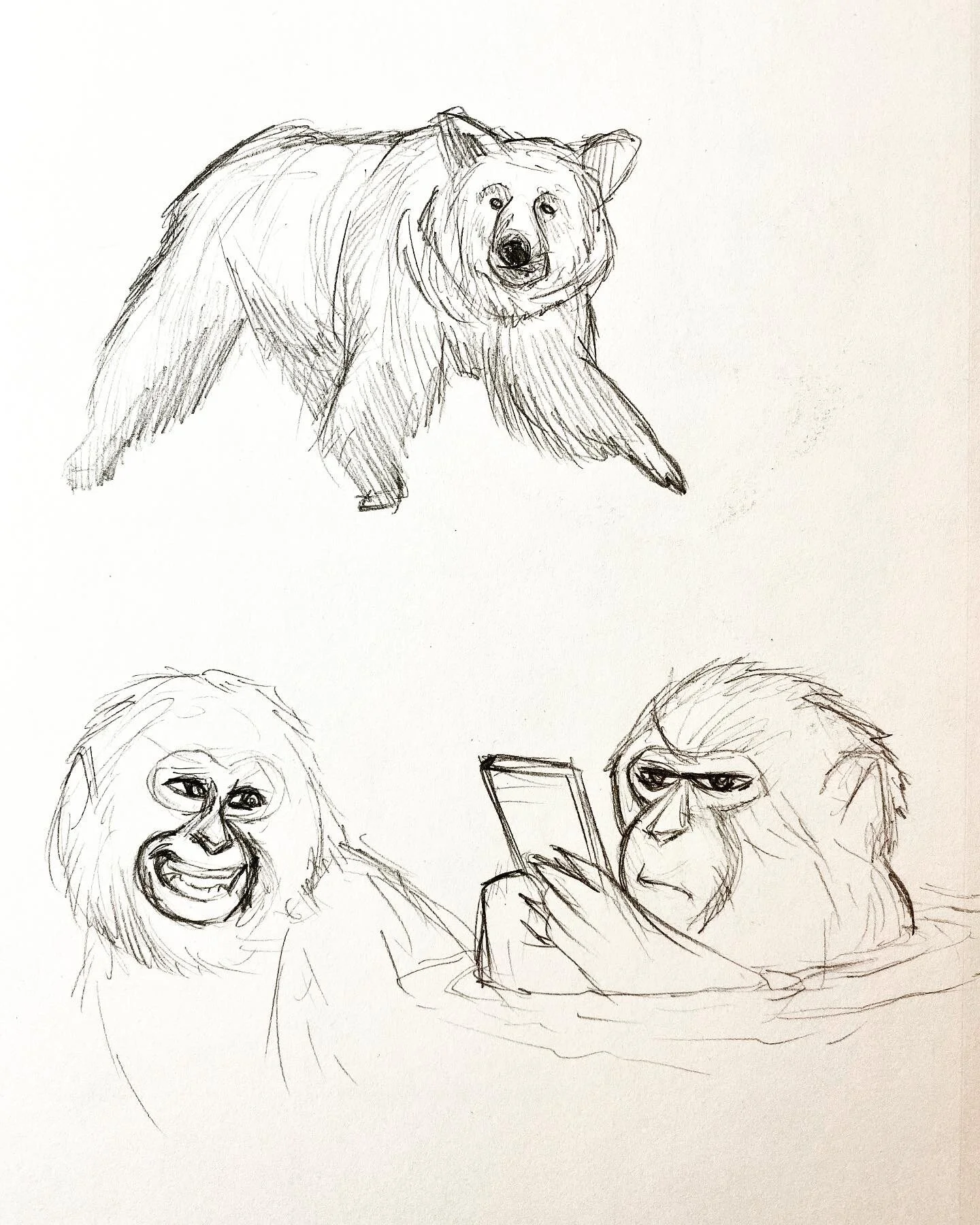 bear_monkey_sketch.JPG