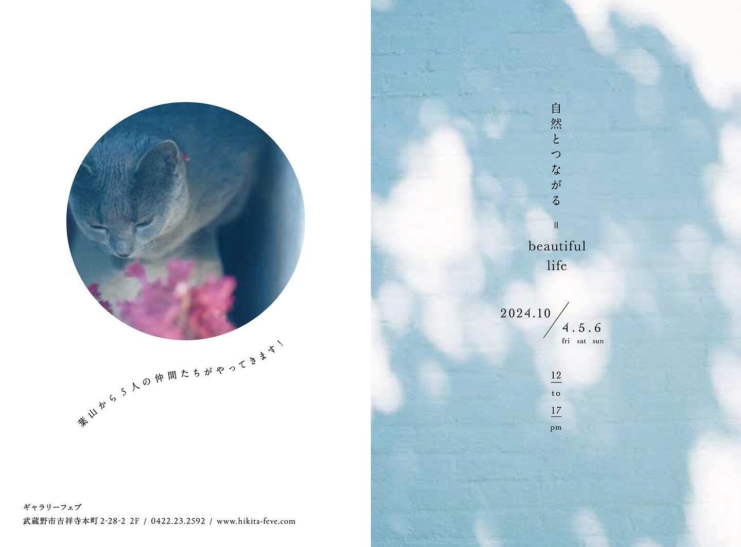 自然とつながる＝beautiful life
2024/10/4fri.5sat.6sun
ギャラリーフェブ
12-17h

砂原文　@trans_parence721 
須藤智子　@tomoko_sudo_ 
新田奈々　@knml_nurseries 
森嵜周　@wagashi_meguru 
杉本雅代　@masayo.sugimoto 

吉祥寺にあるギャラリーフェブにて、葉山の仲間と一緒に「自然とつながる＝beautiful life」を開催。
私は7月末にリリースしたKOOSOの販売会を